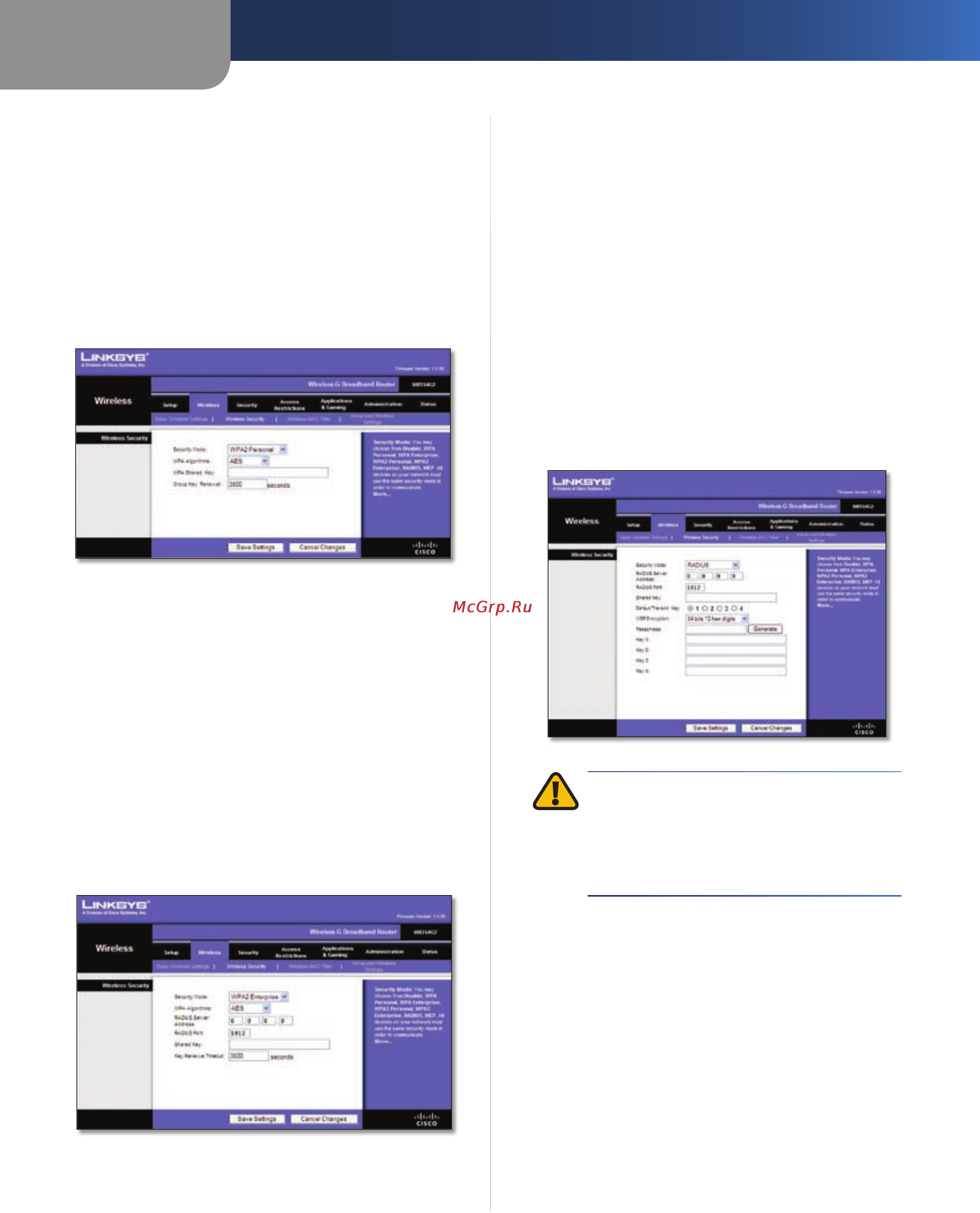 Linksys WRT54G2 [246/368] Geavanceerde configuratie