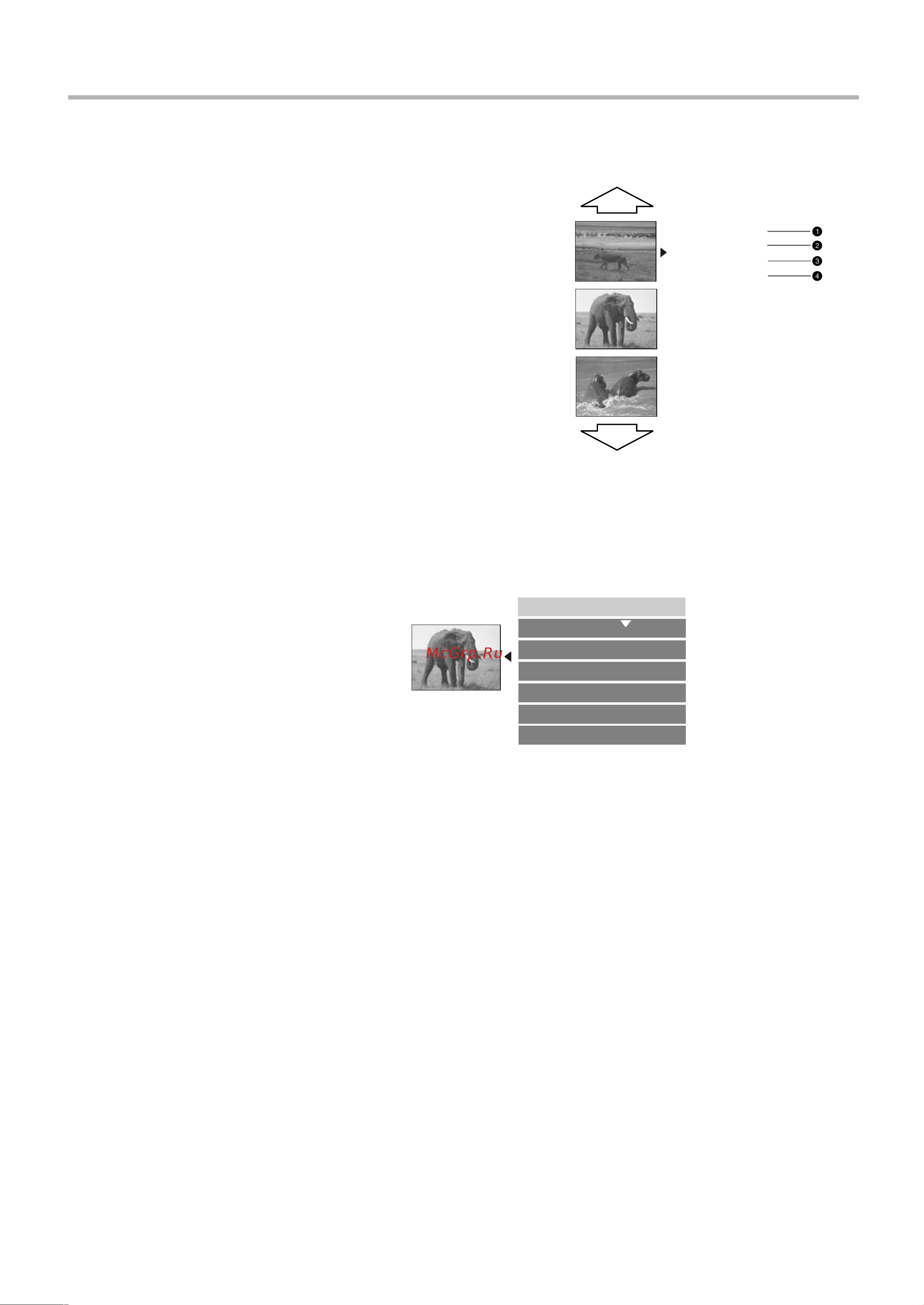 BBK DW9952K [43/58] Структура записанного диска