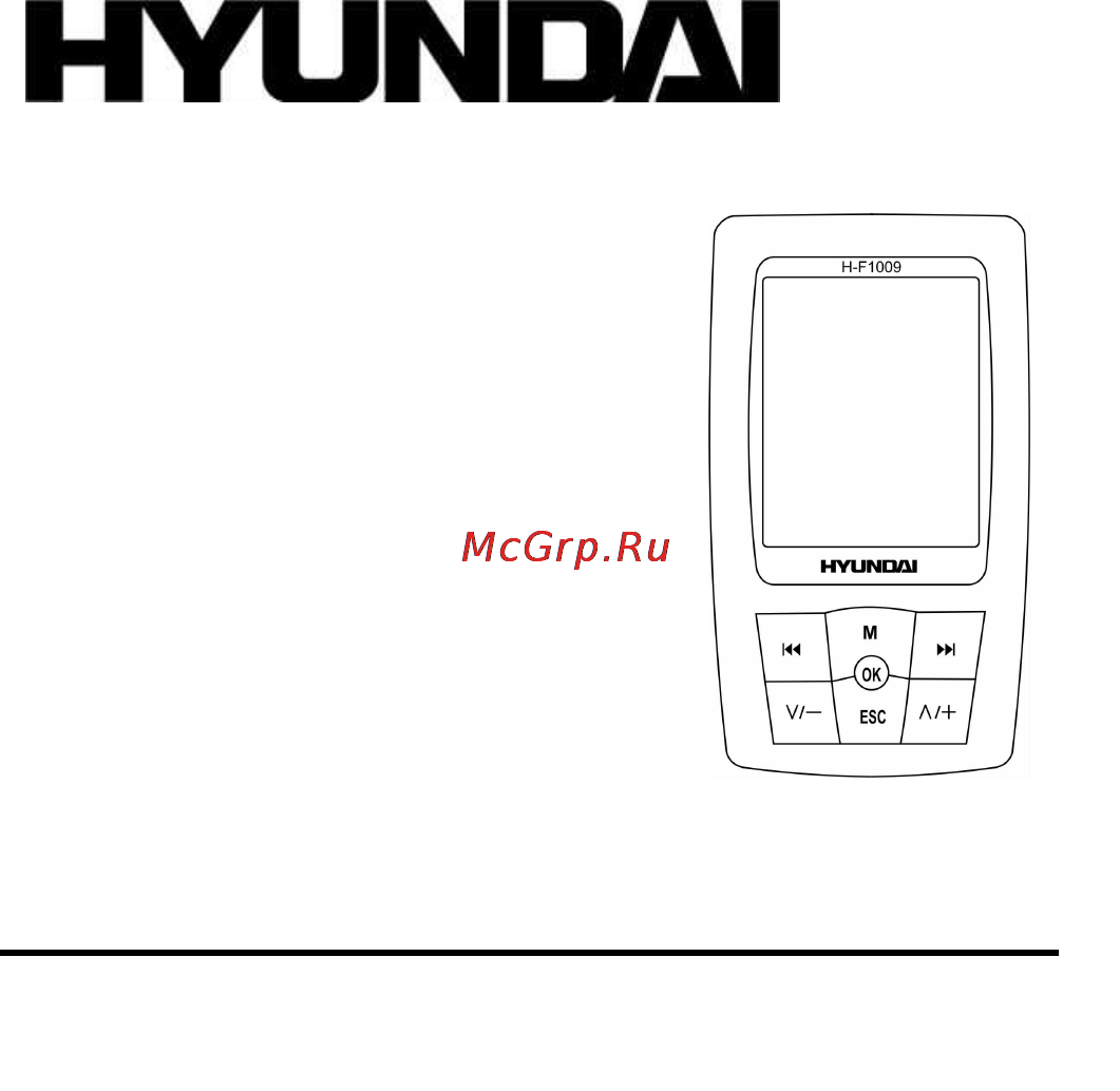 Hyundai H-F1009 Инструкция по эксплуатации онлайн