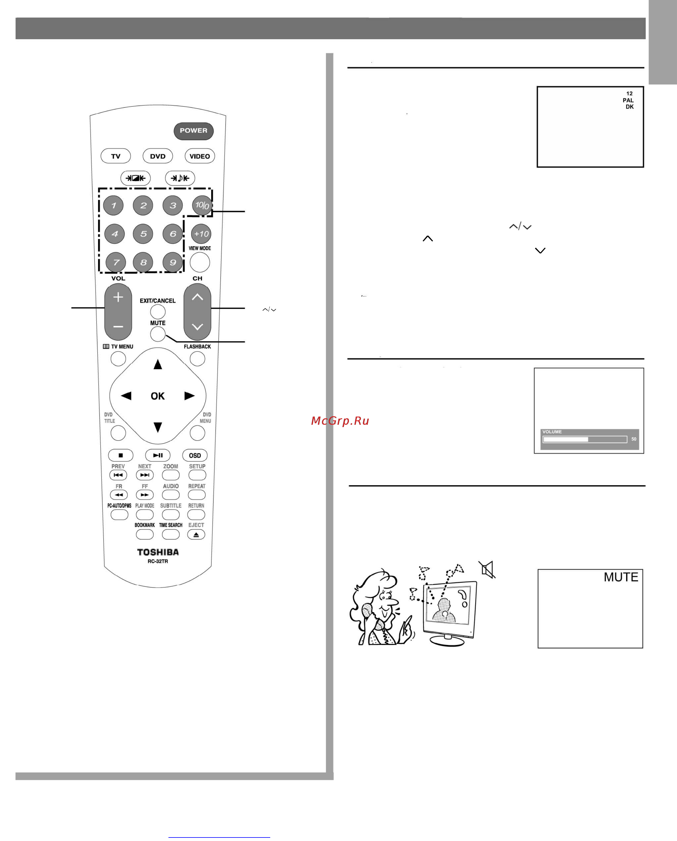 Toshiba 20SLDT1 [17/48] Просмотр телевизионных программ