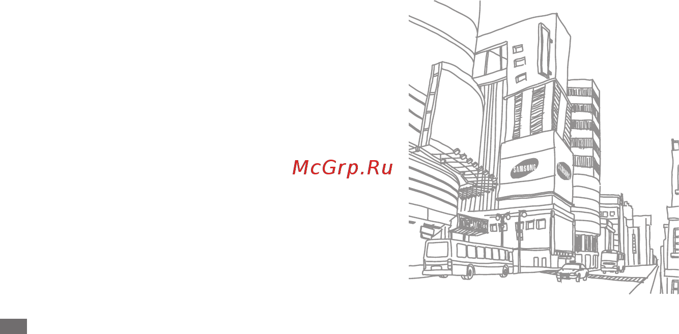 Samsung Galaxy Mini GT-S5570i St/Gray [102/126] Сведения о телефоне