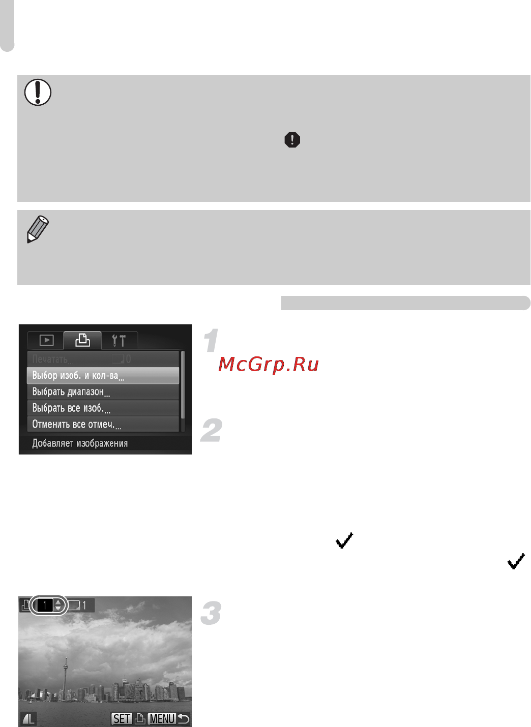 Canon PowerShot A3200 IS Silver [146/201] Выбор количества экземпляров