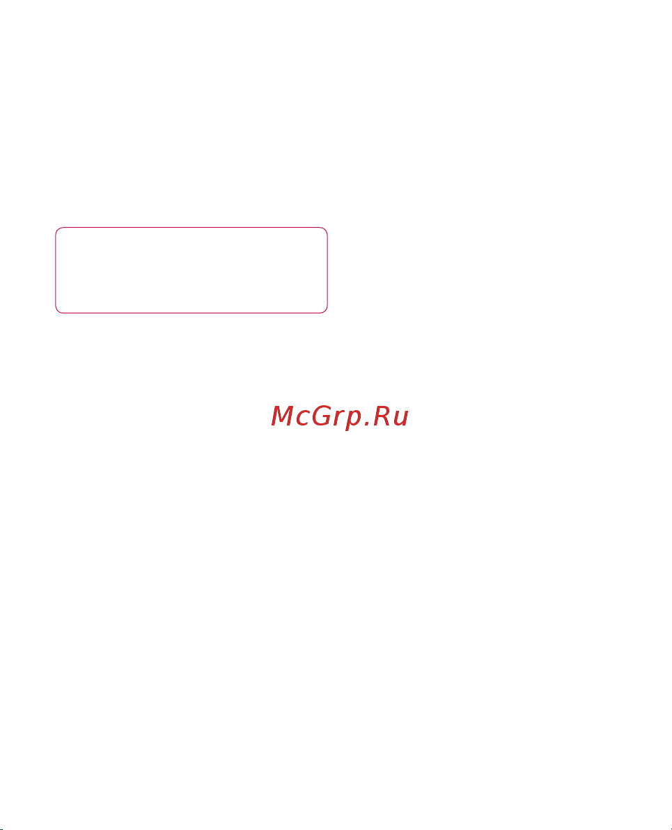 LG P920 3D Black [13/300] В самолете