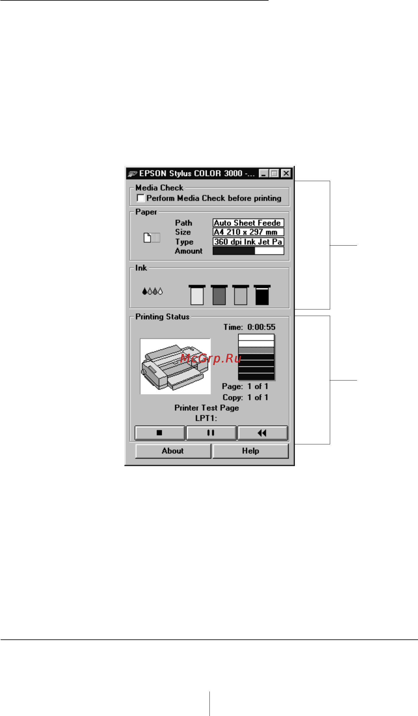 Epson Stylus Color 3000 [81/292] Проверка состояния принтера