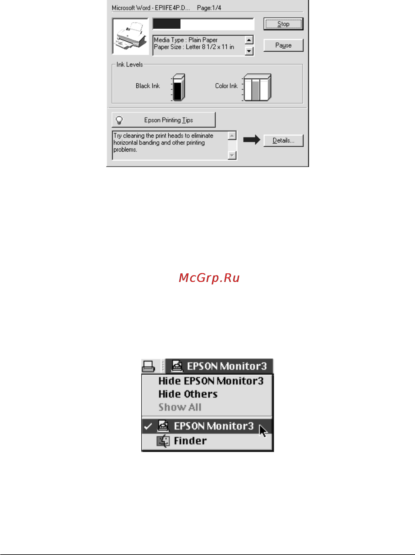 Epson Stylus Color 670 [66/74] Для macintosh