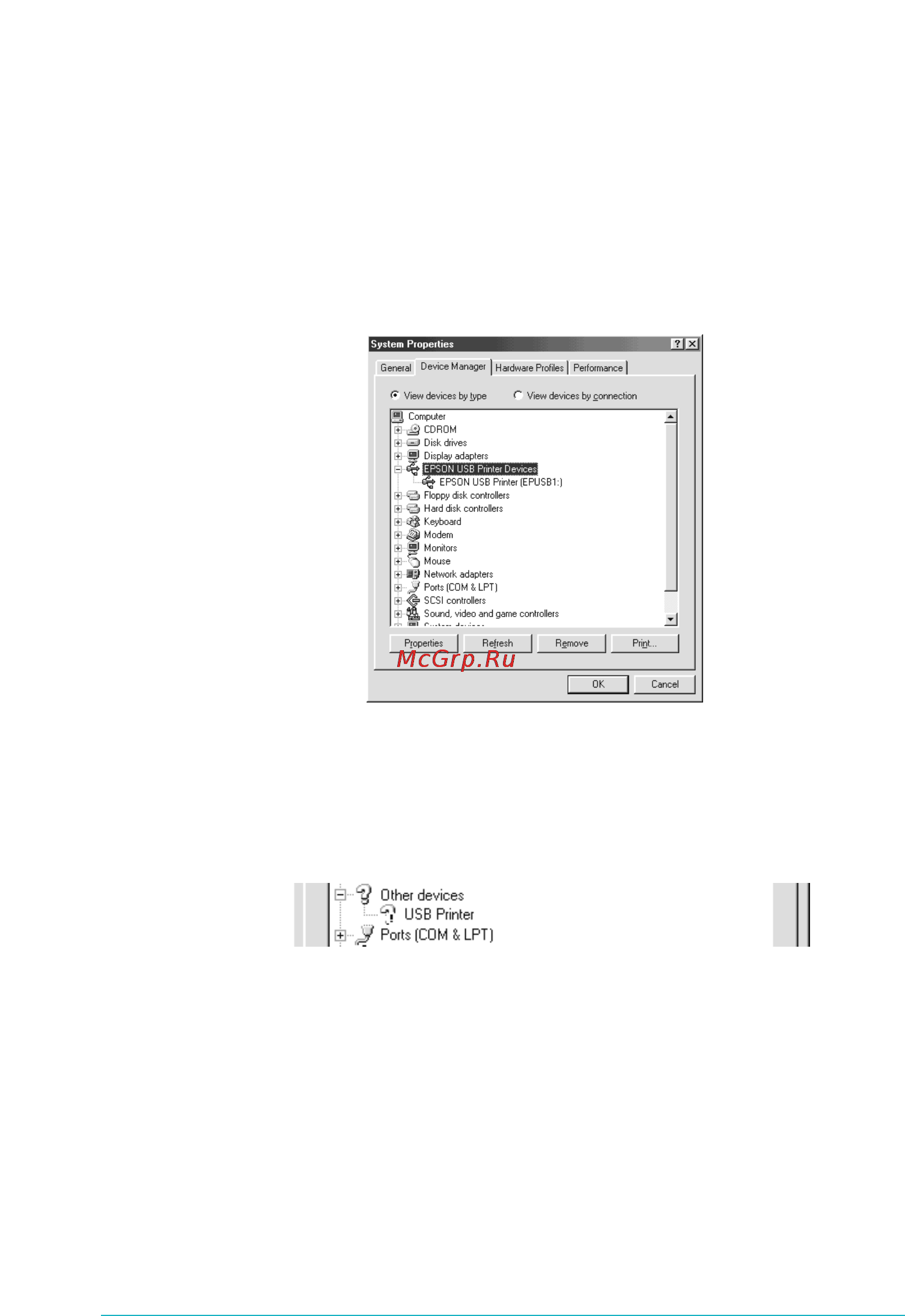 Epson Stylus Photo 890 [49/64] Device manage