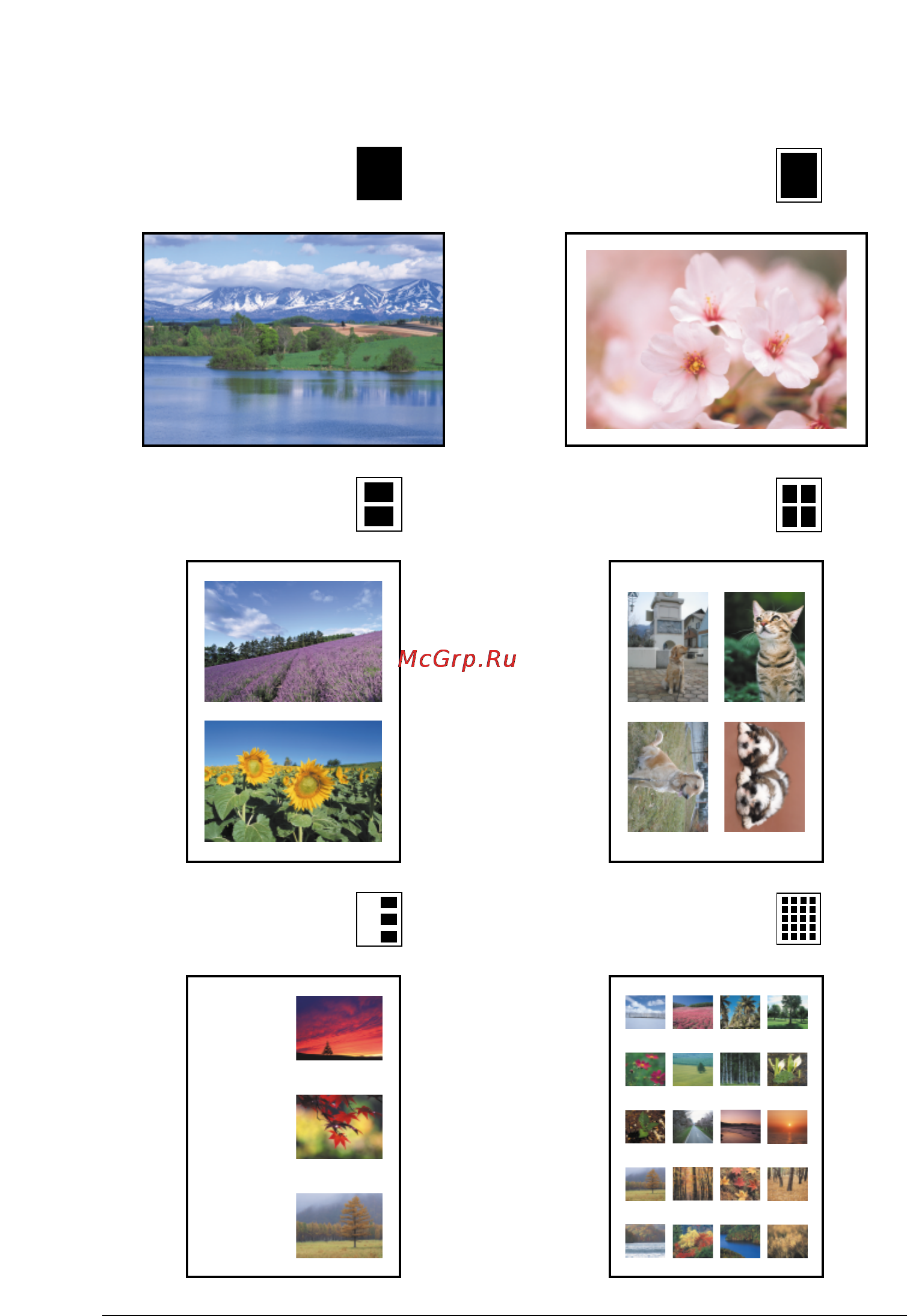 Epson Stylus Photo 895 [111/115] Образцы макетов