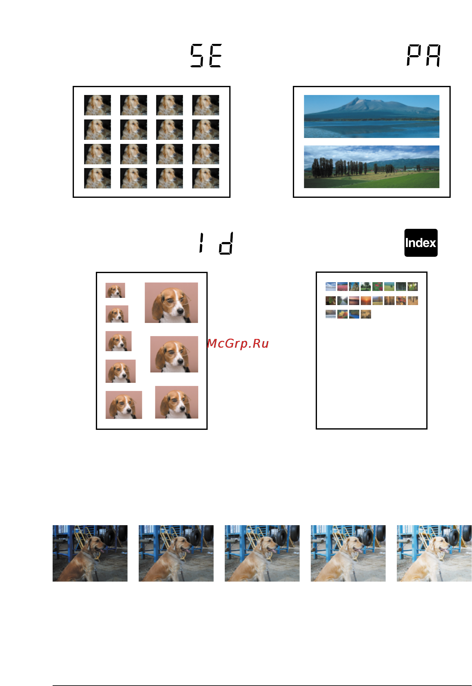 Epson Stylus Photo 895 Инструкция по эксплуатации онлайн [112/115] 49258