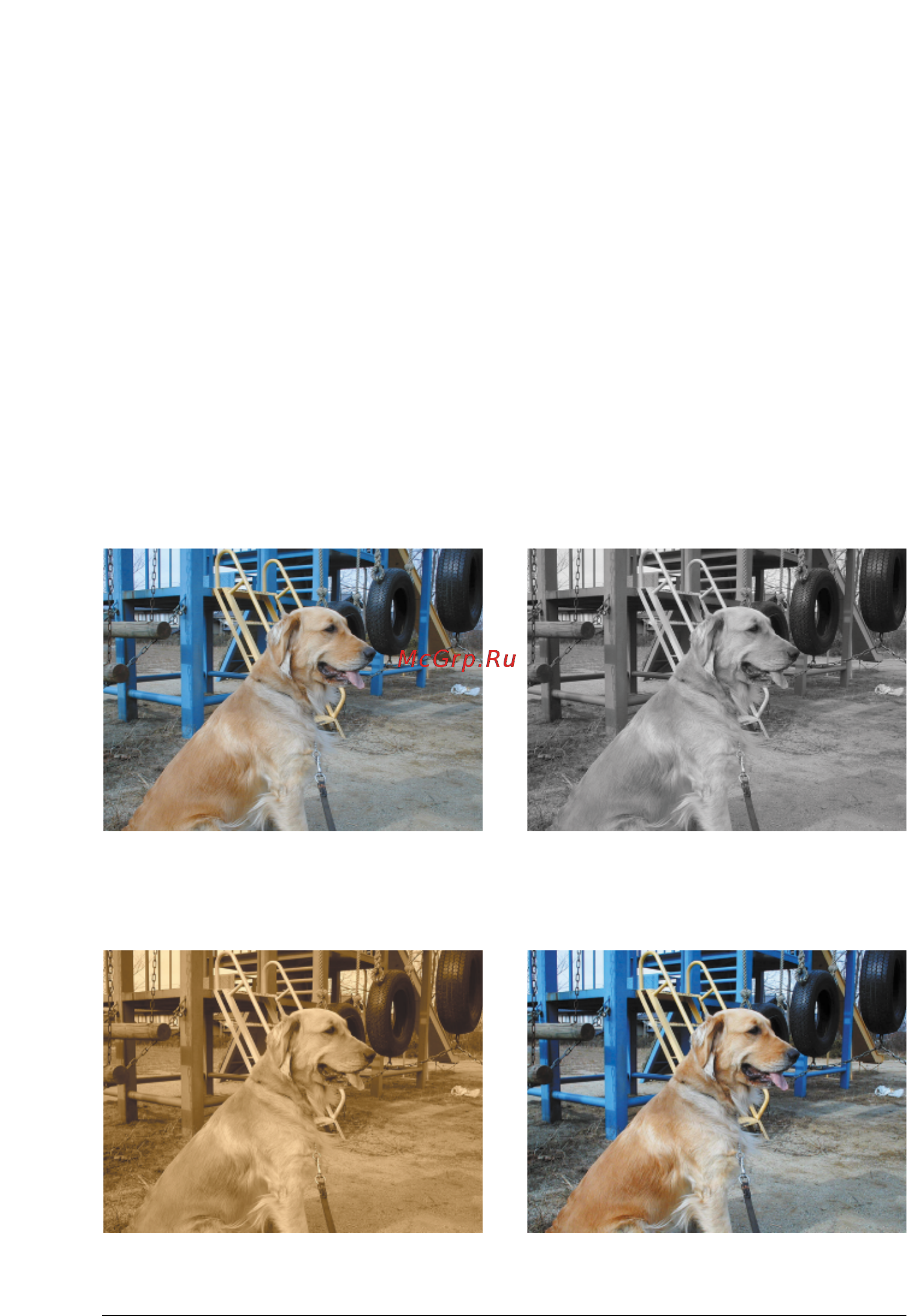 Epson Stylus Photo 895 [113/115] Руководство по фильтрам