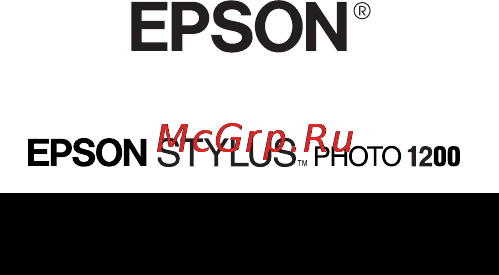 Epson Stylus Photo 1200 [60/60] Stylus