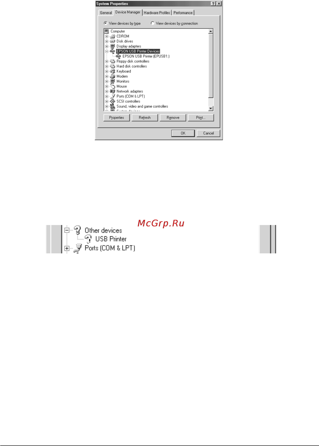 Epson Stylus Photo 2000P Инструкция по эксплуатации онлайн [58/72] 49298