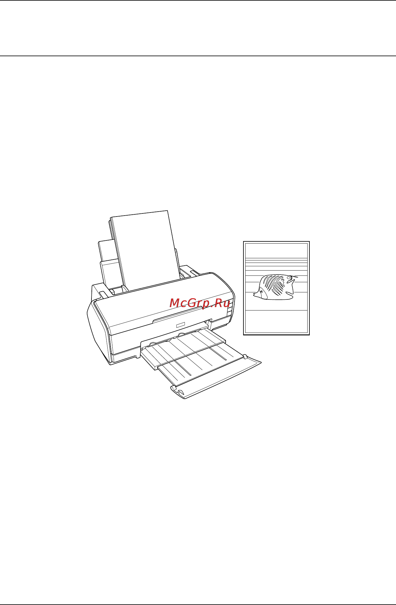 Epson Stylus Photo R2400 [20/418] Введение