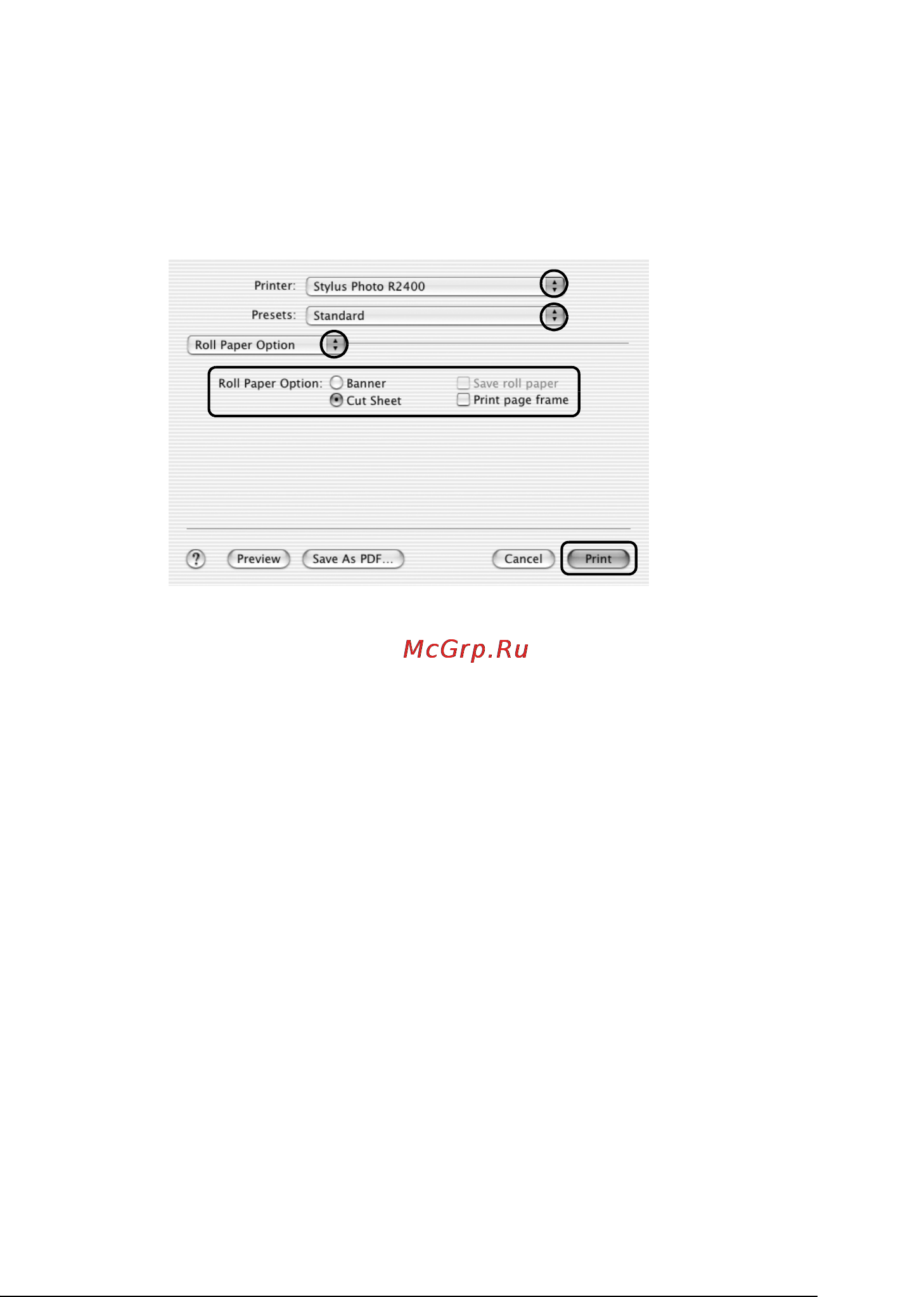 Epson Stylus Photo R2400 [35/418] Настройки драйвера для mac os 9