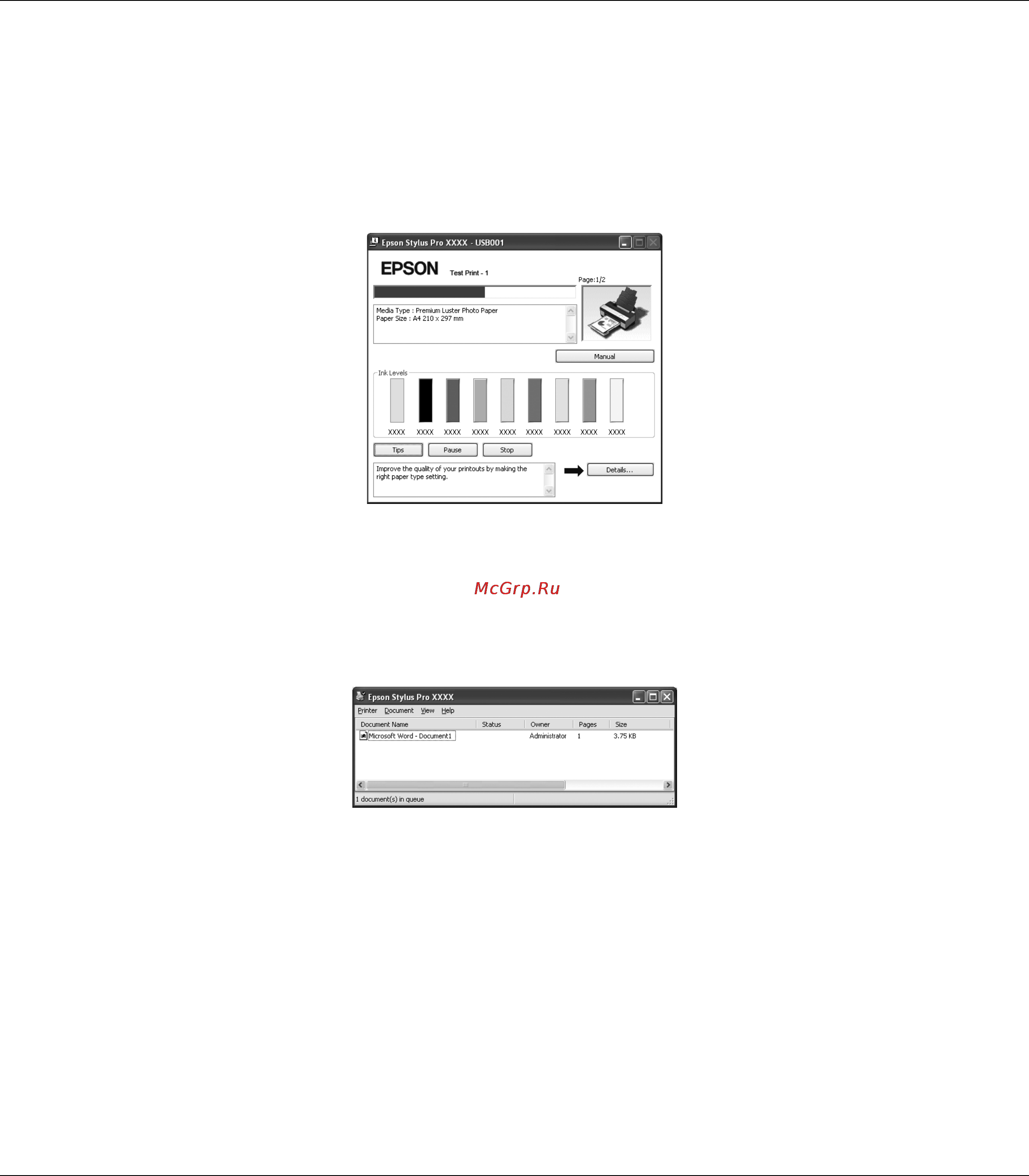 Epson Stylus Pro 3880 [18/227] Индикатор выполнения