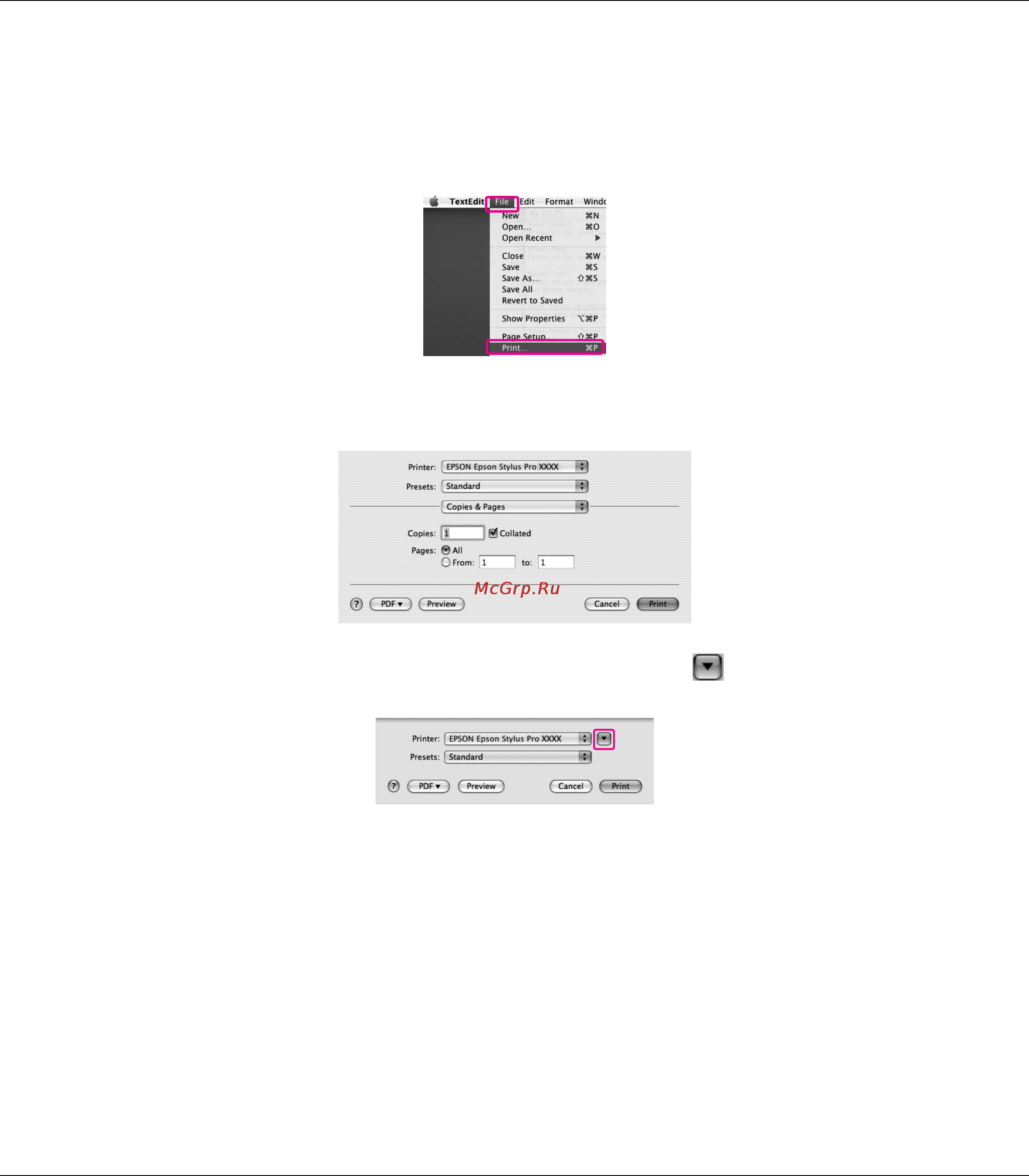 Epson Stylus Pro 3880 [33/227] Открытие диалогового окна print печать