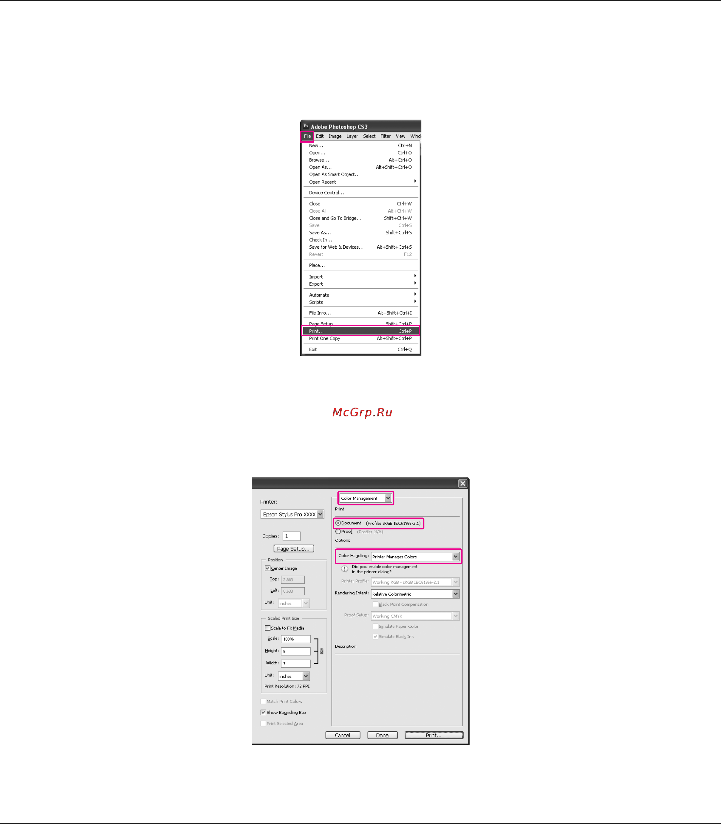 Epson Stylus Pro 3880 Инструкция по эксплуатации онлайн [51/227] 49446