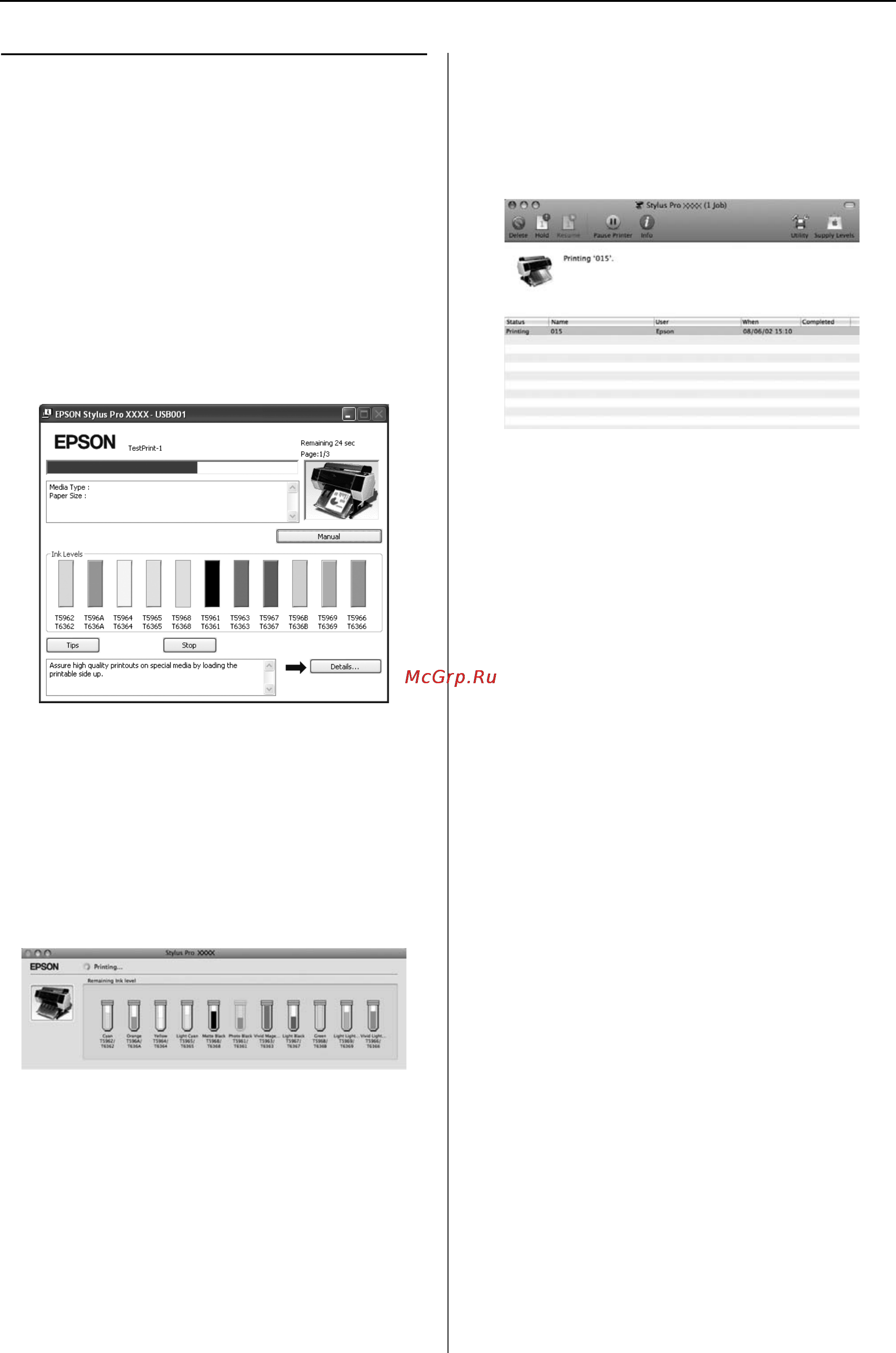 Epson Stylus Pro 9900 [62/205] Проверка состояния принтера