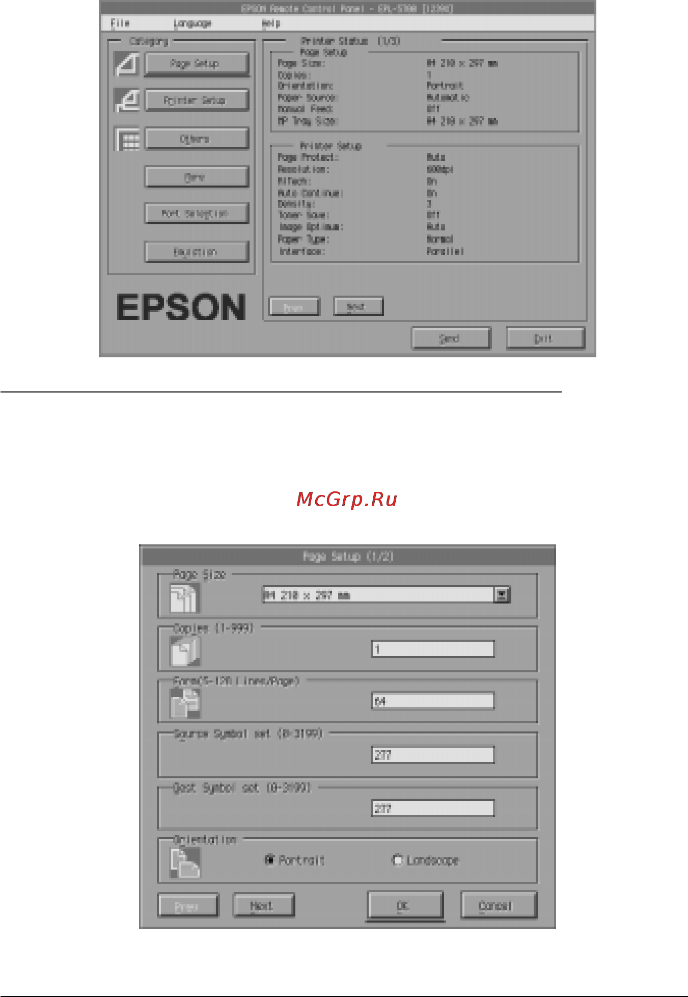 Epson EPL-5700 [71/206] Опции категории параметры страницы