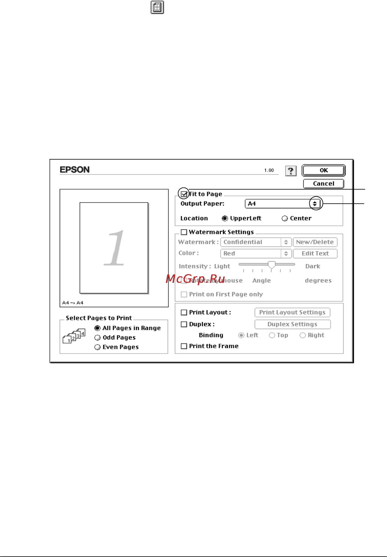 Epson AcuLaser C9100 [140/462] Настройка макета страницы