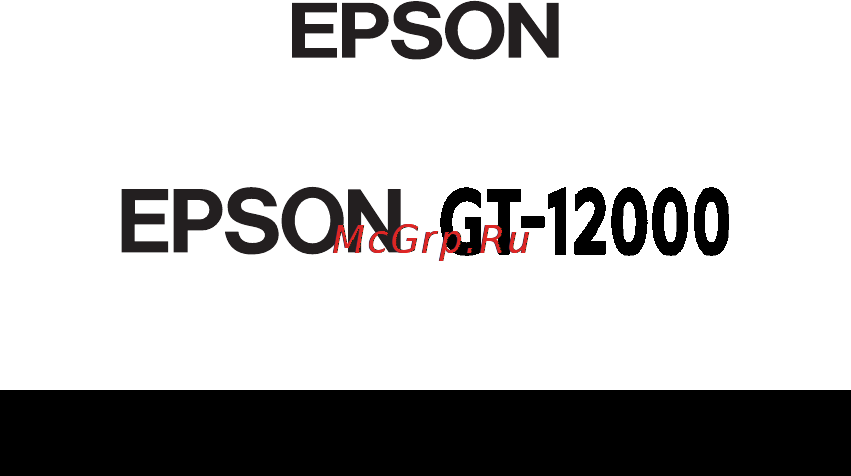 Epson GT-12000 [100/100] Epson gt 12000