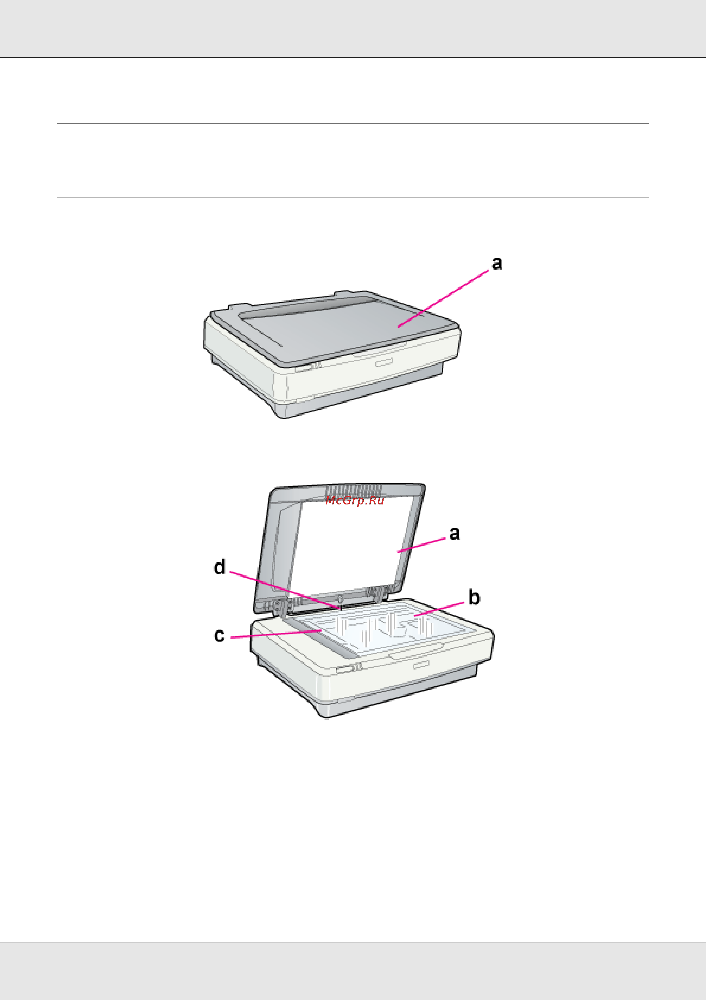 Epson GT-20000 [15/162] Элементы сканера
