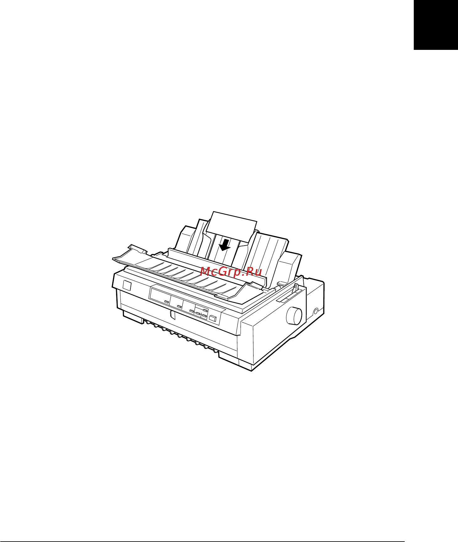 Epson FX-980 [108/264] Загрузка открыток
