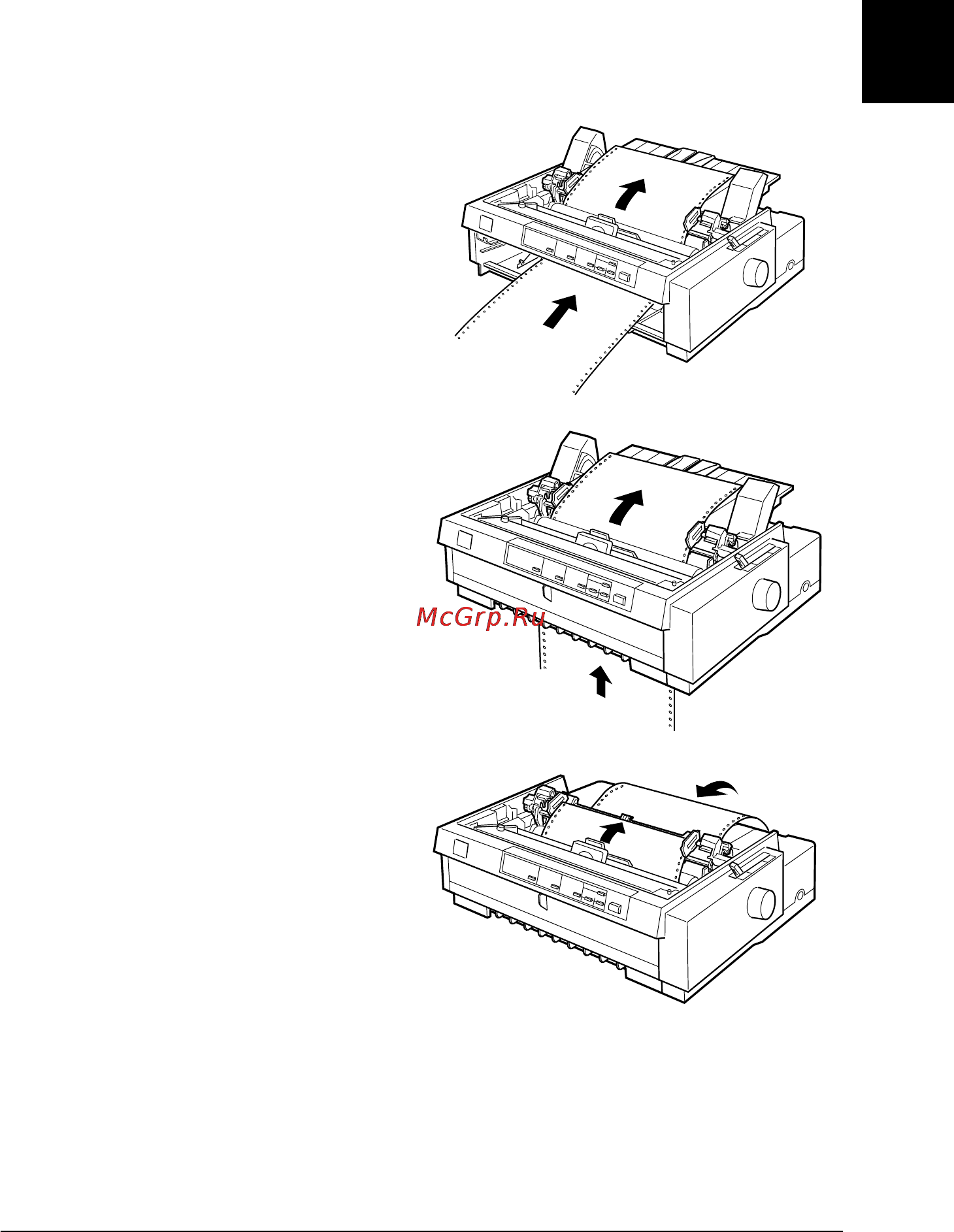 Epson FX-980 [78/264] Вставляйте бумагу в передний нижний или тыльный слот для бумаги как описано ниже пока она не появится между валиком и направляющей ленты затем потяните бумагу чтобы перфорация между первой и второй страницами выровнялась по верху красящей ленты