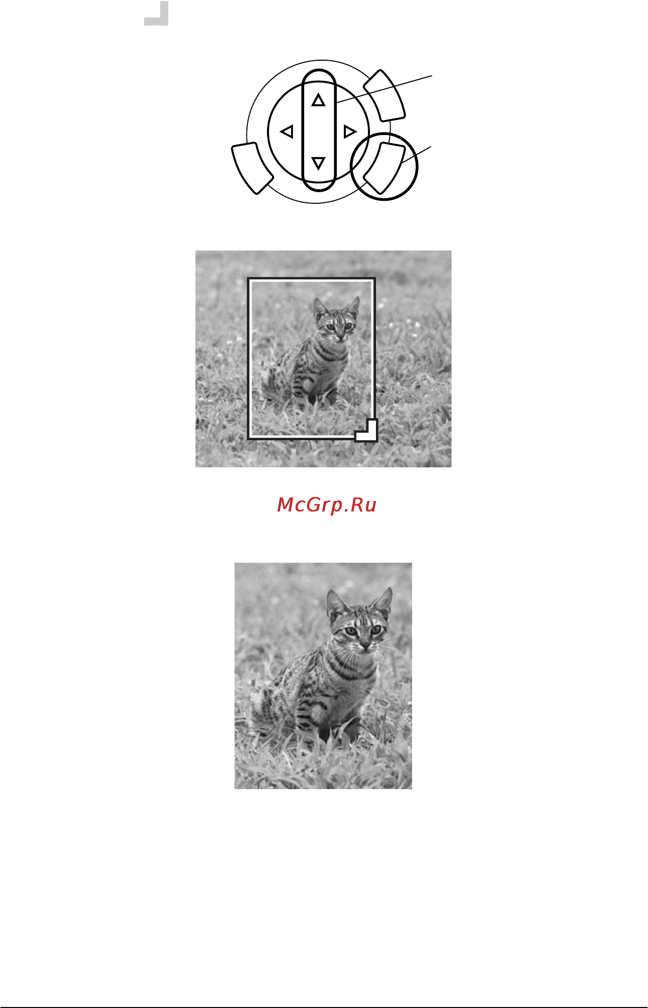 Epson Stylus Photo RX600 [32/96] Печать напрямую с карты памяти