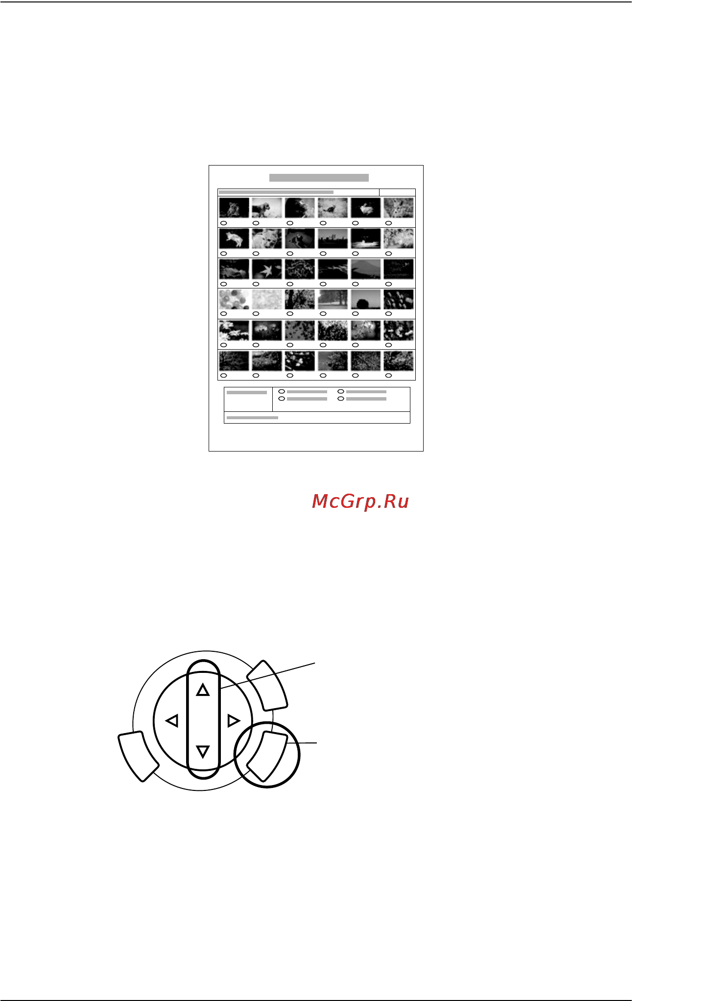 Epson Stylus Photo RX600 [33/96] Печать с использованием индексной формы