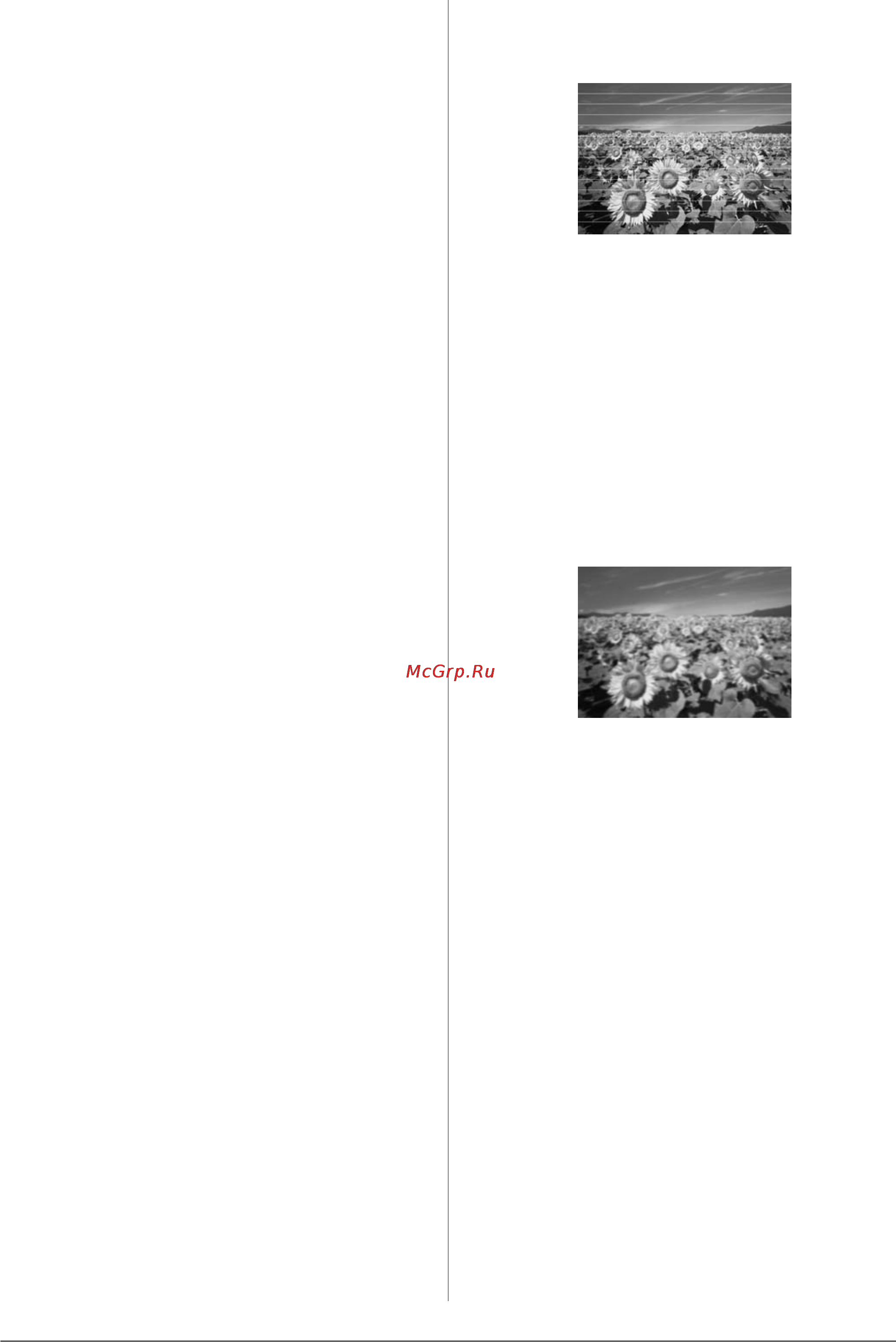 Epson Stylus Photo RX640 [48/64] Проблемы при сканировании