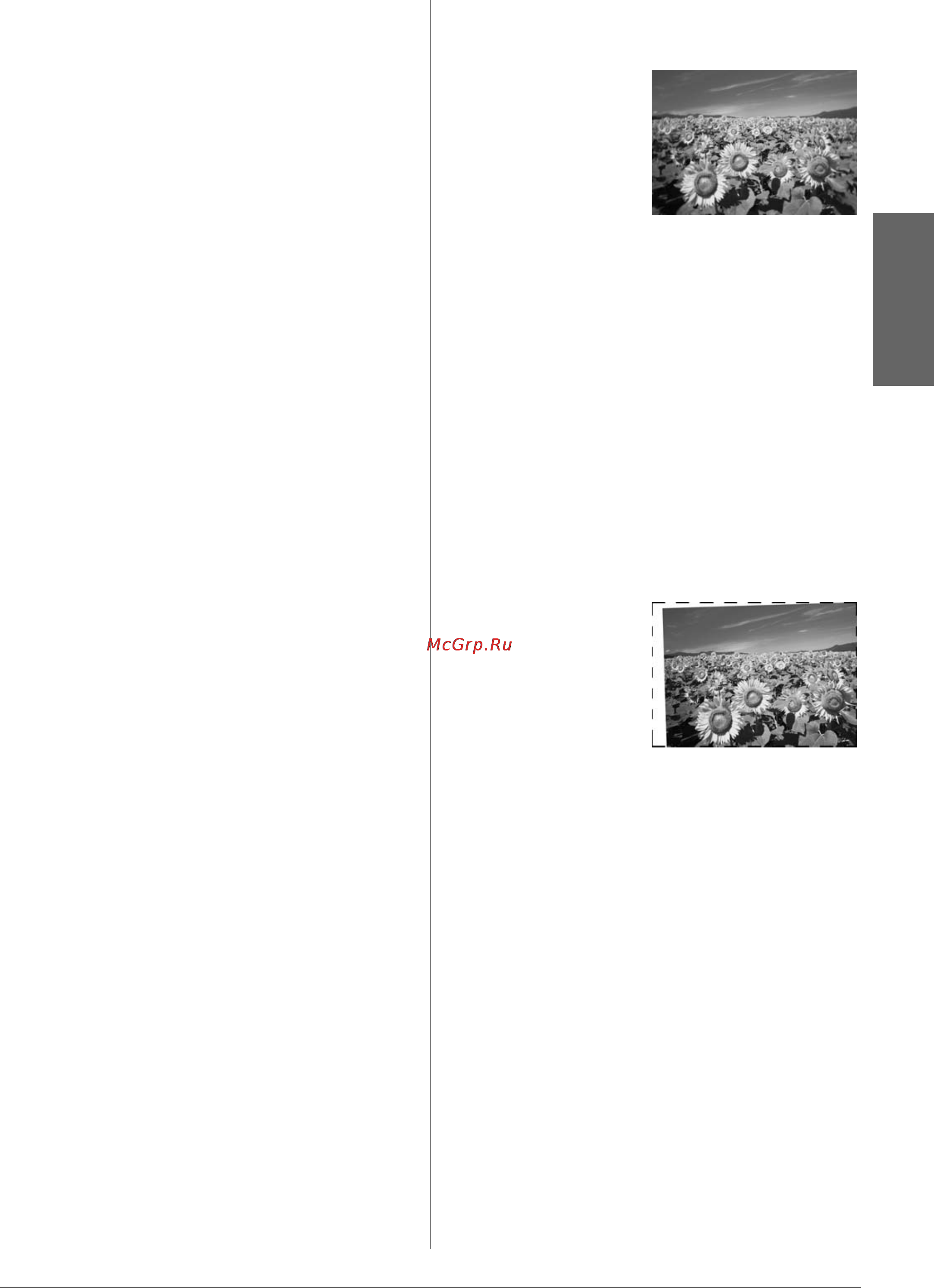 Epson Stylus Photo RX640 [49/64] Разные проблемы с отпечатками
