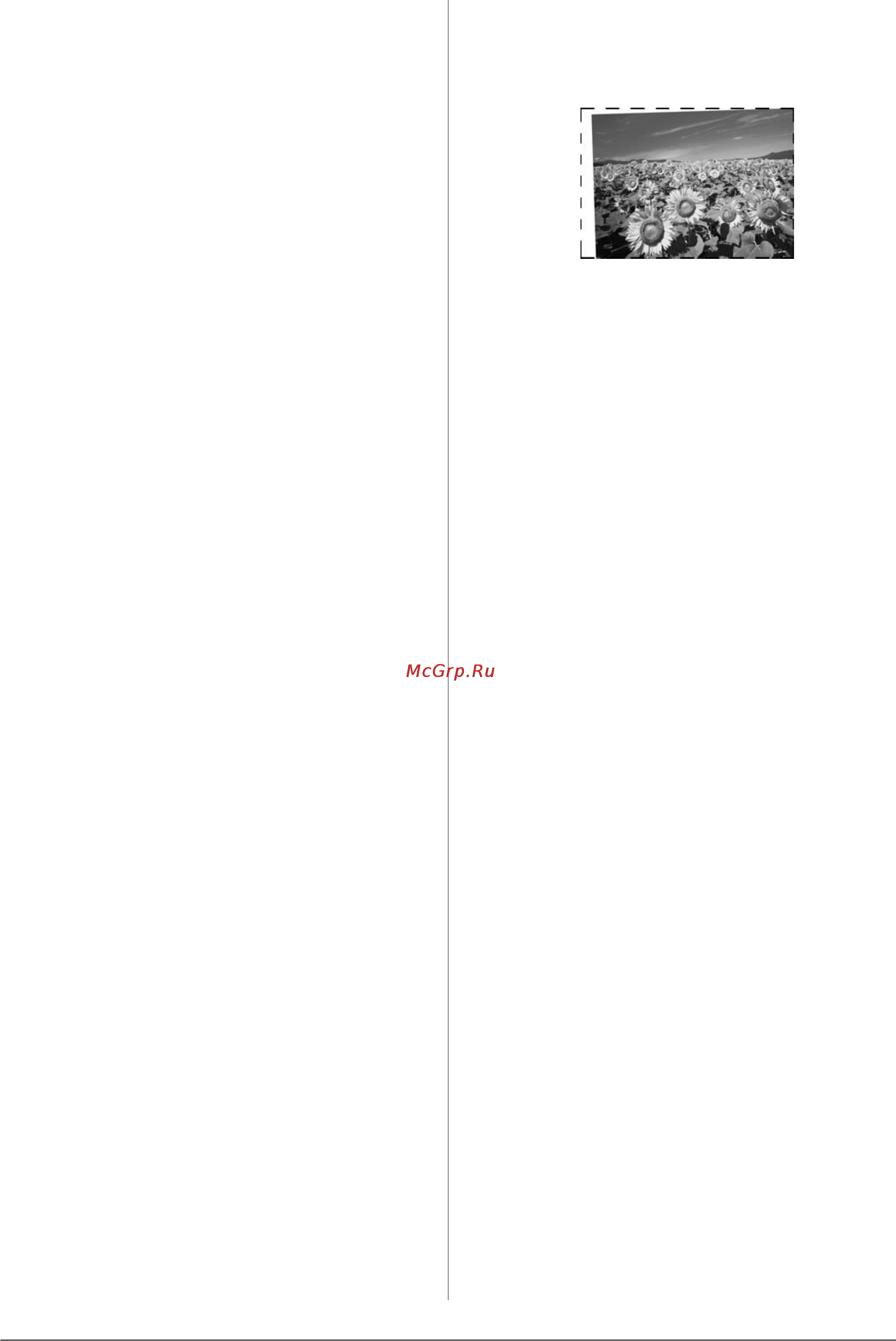 Epson Stylus Photo RX690 [44/63] Проблемы с печатью кадров из фильмов