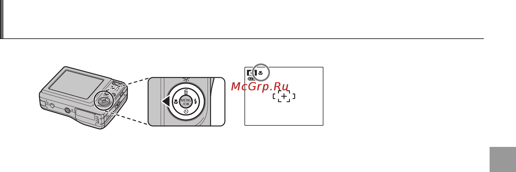 Fujifilm FinePix A235 Silver [27/103] L режим макросъемки съемка с близкого расстояния