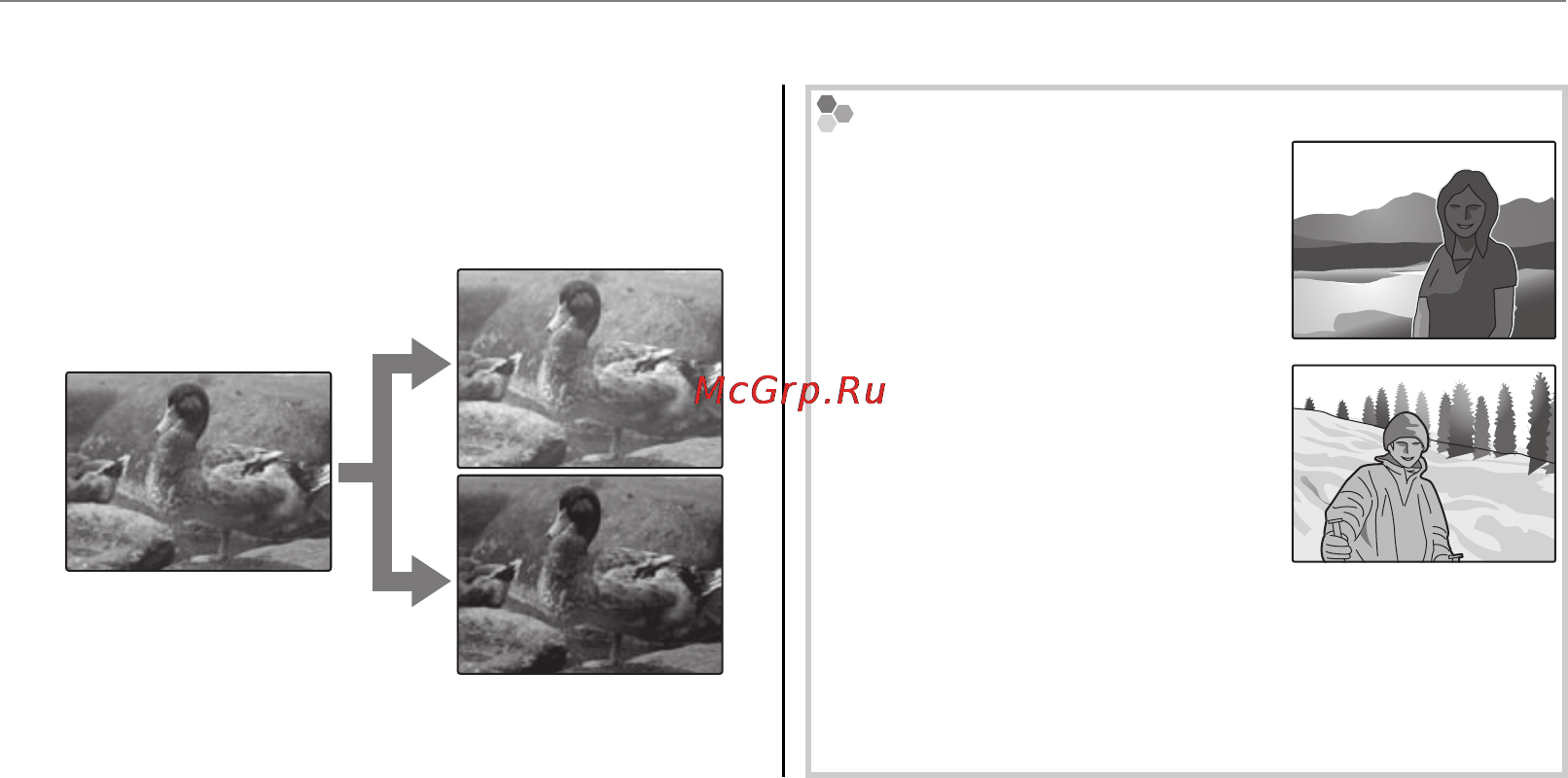 Fujifilm FinePix A235 Silver [64/103] D экспокоррекция экспокоррекция пользуйтесь коррекцией экспозиции при съемке очень ярких очень темных или высококонтрастных предметов