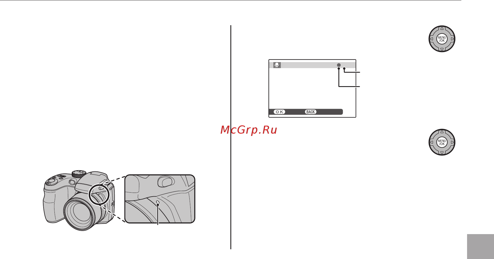 Fujifilm FinePix S2950 [107/140] F голосовая метка