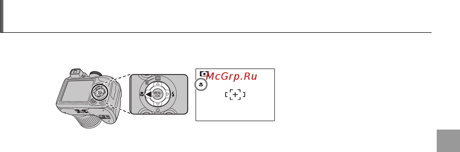 Fujifilm FinePix S4000 [49/144] Режимы макросъемки и супер макросъемки съемка с близкого расстояния