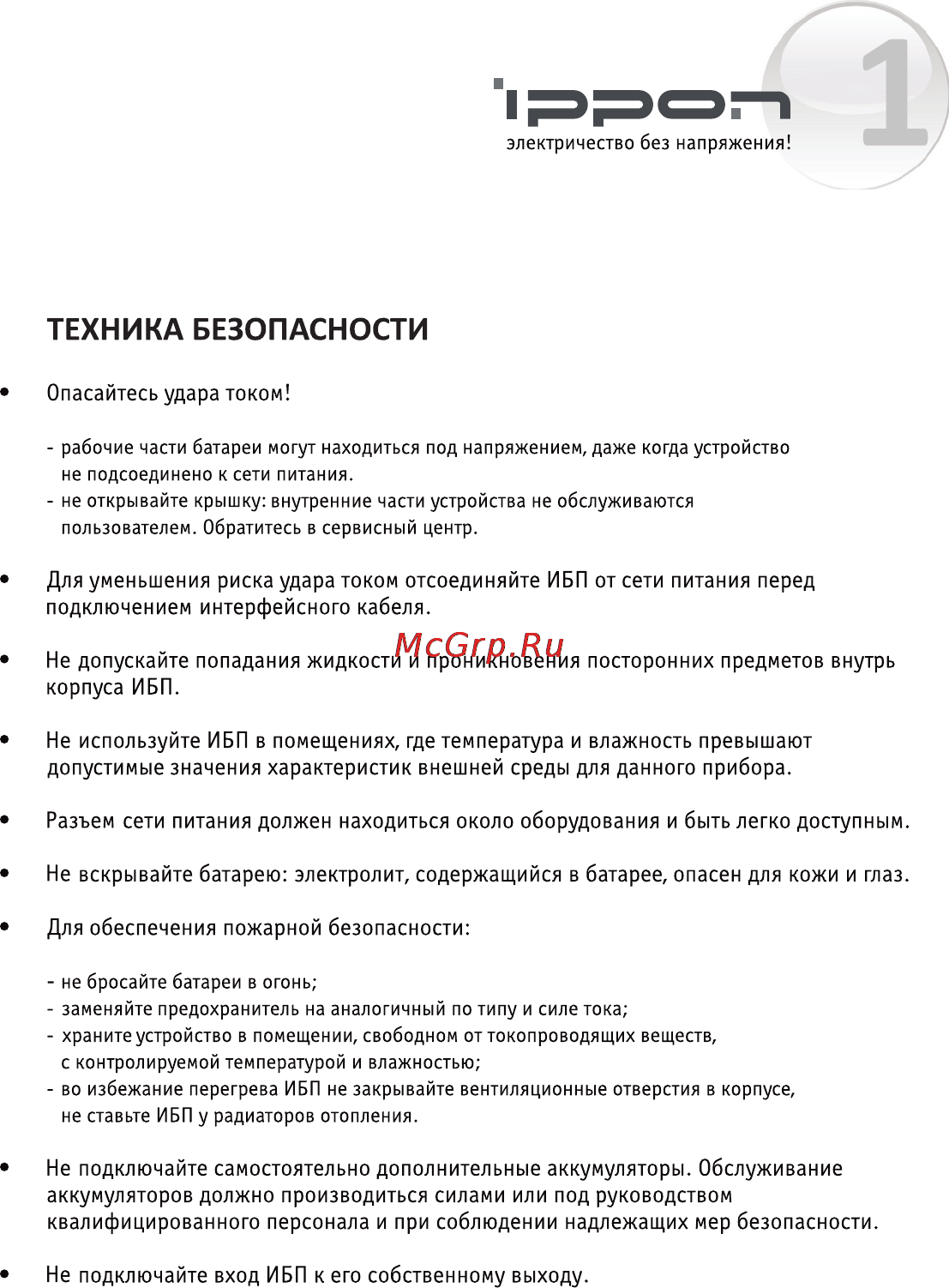 Ippon Back Power LCD Pro 600 [2/16] Техника безопасности