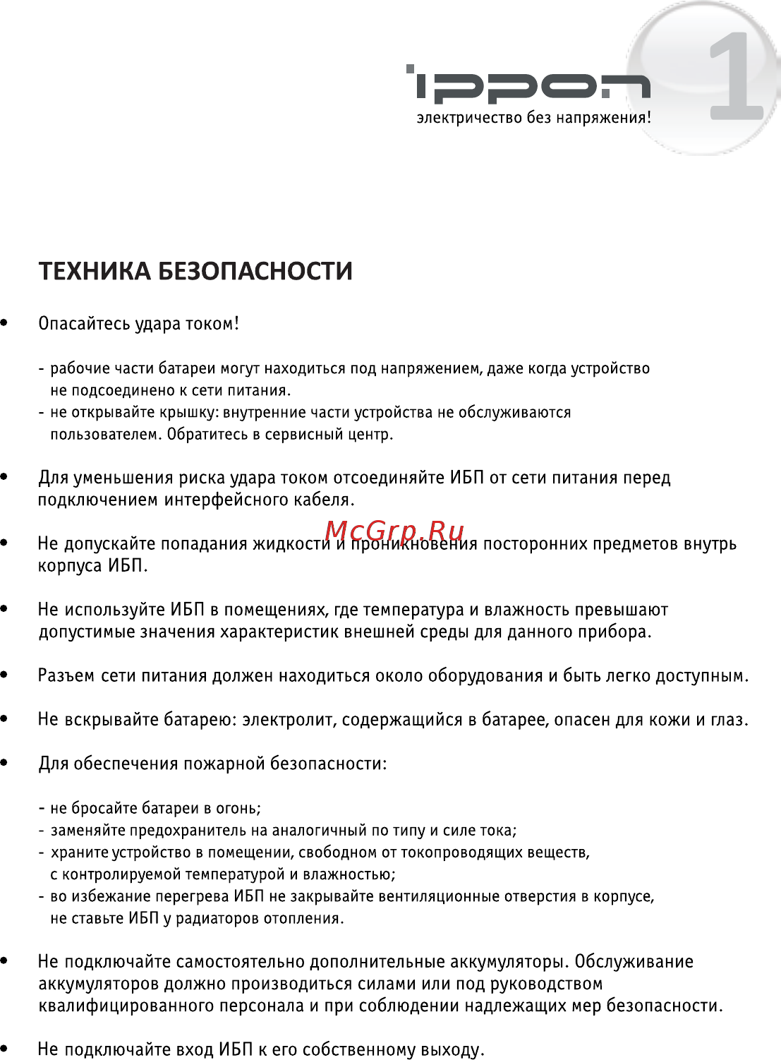 Ippon 9E62-43125-F0 [2/12] Техника безопасности