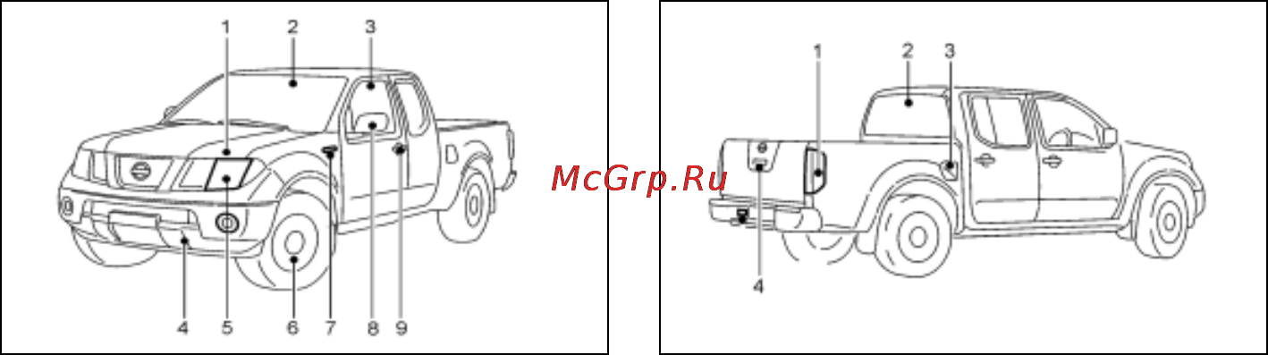 Nissan Navara [12/289] Вид сзади