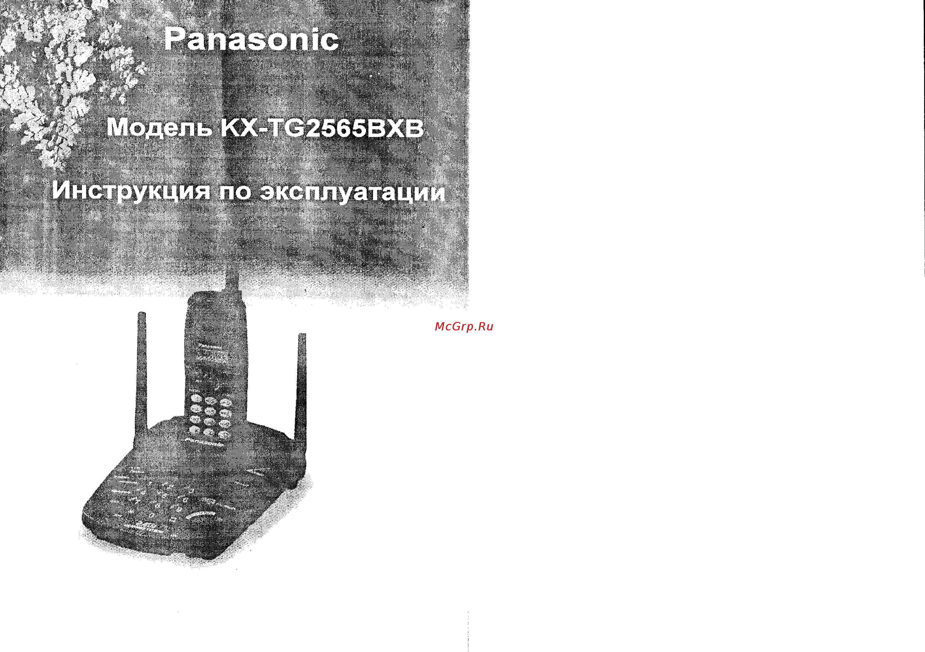 Panasonic KX-TG2565BXB Инструкция по эксплуатации онлайн