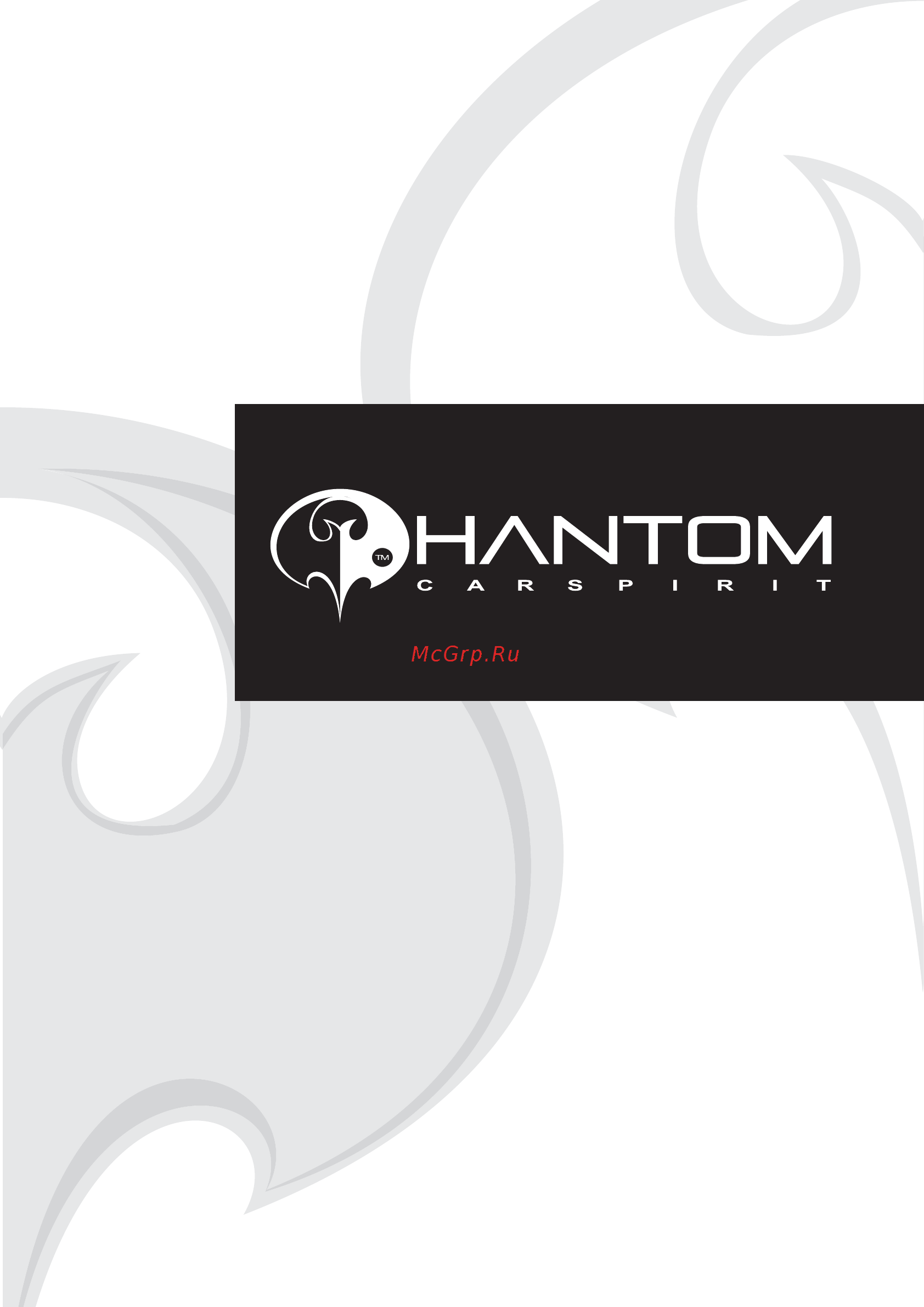 Phantom DV-100 Инструкция по эксплуатации онлайн
