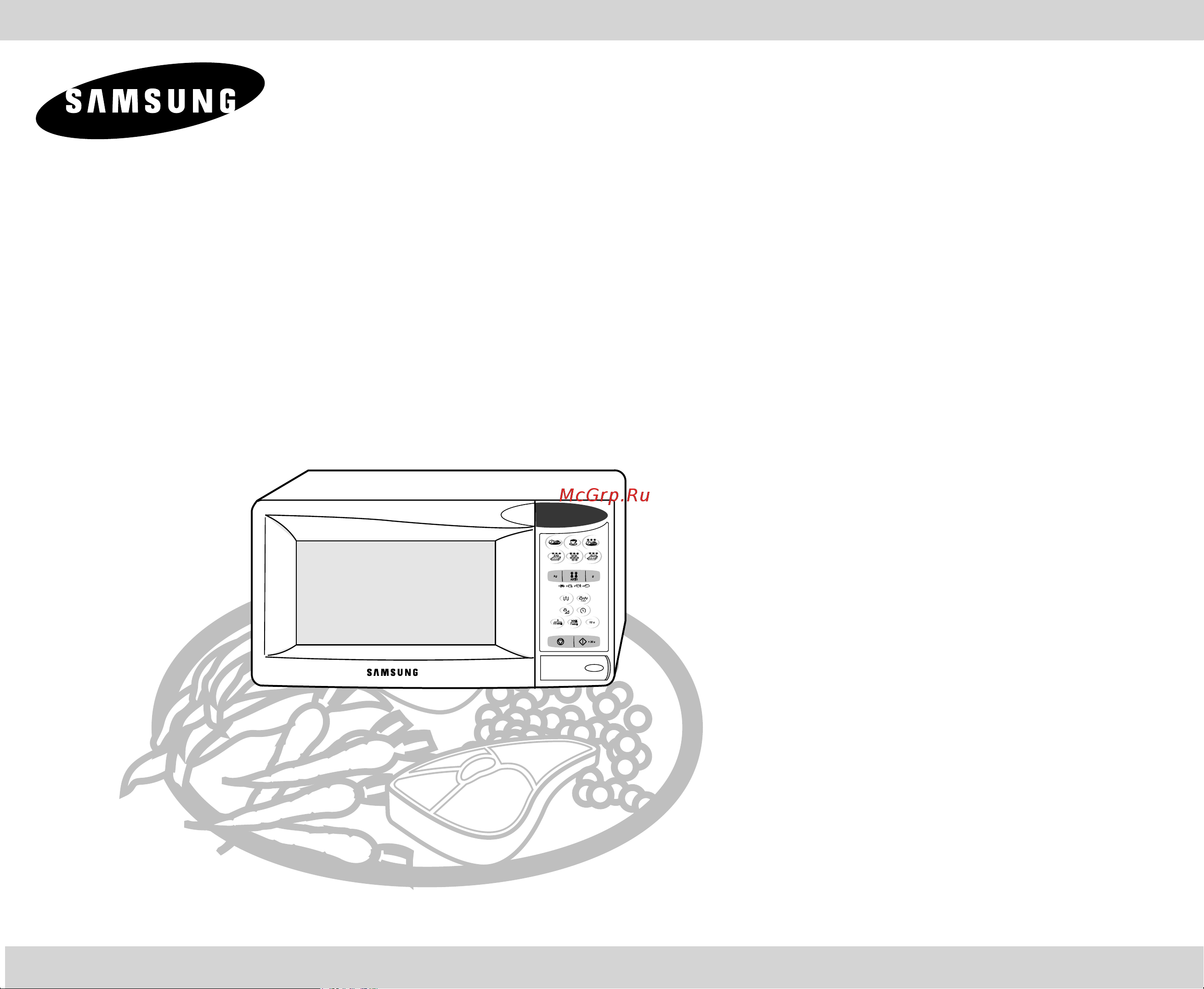 Samsung CE2813NR Инструкция по эксплуатации онлайн