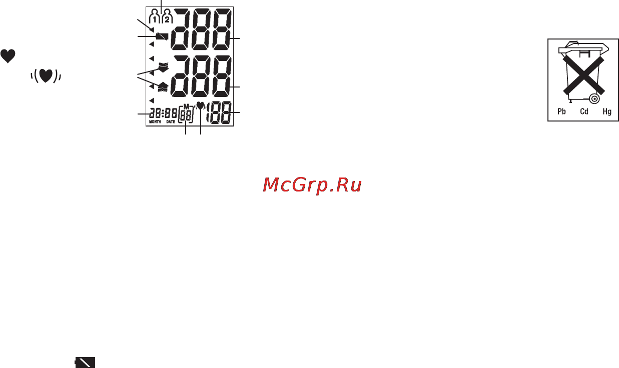 Beurer BC 19 [18/68] Prepare measurement