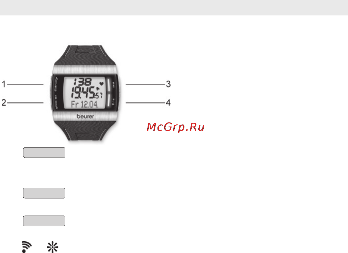 Beurer PM 62 Инструкция по эксплуатации онлайн [14/48] 55346