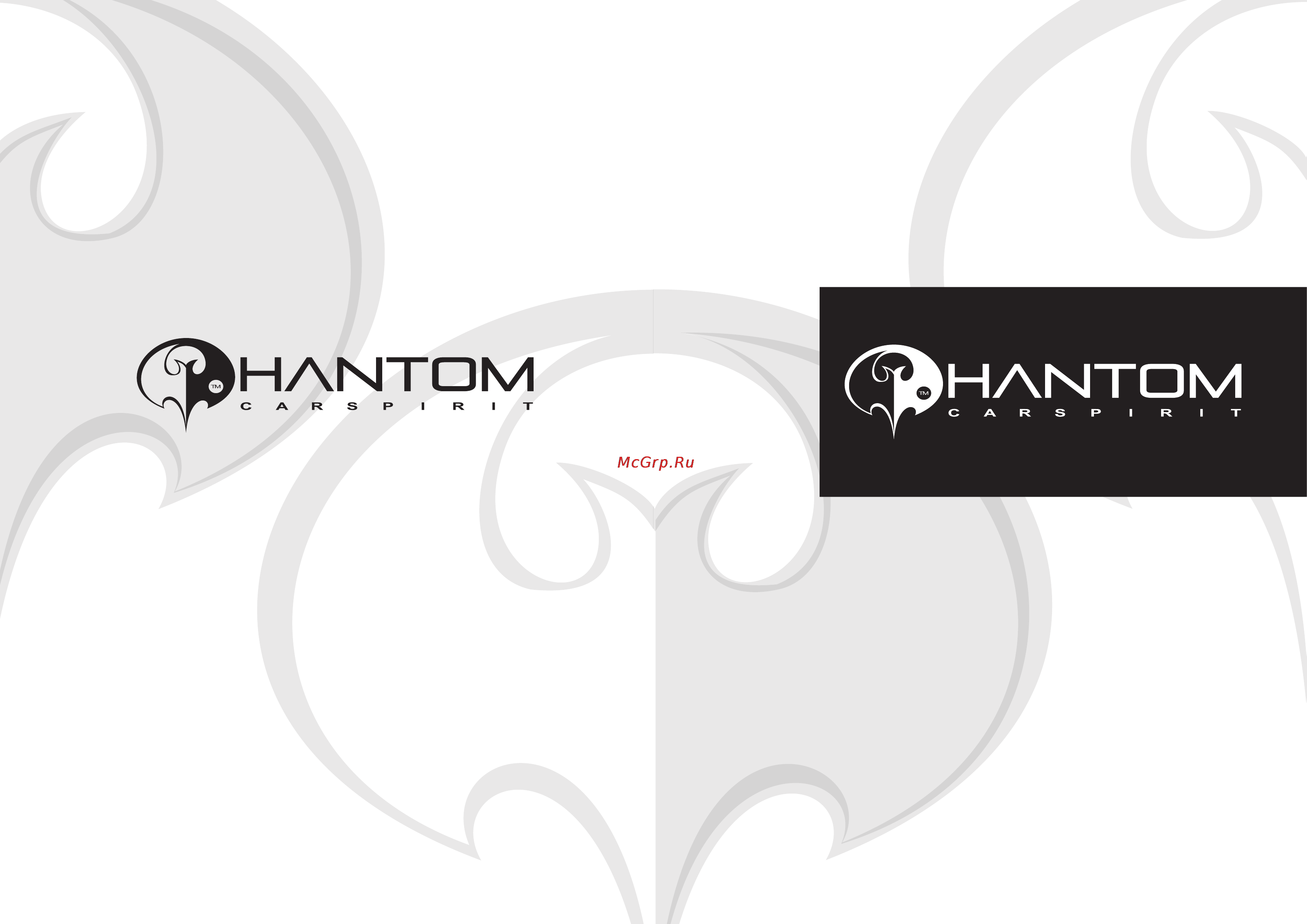 Phantom PS-6.2 Инструкция по эксплуатации онлайн