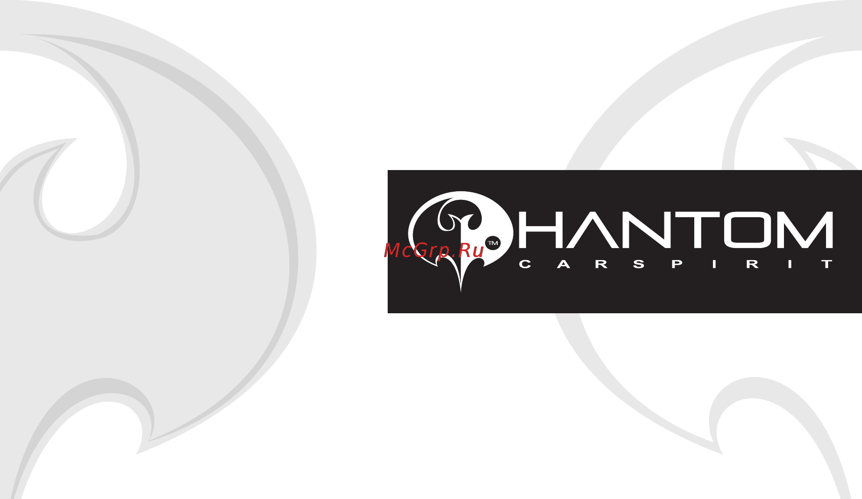 Phantom PS 4H Инструкция по эксплуатации онлайн