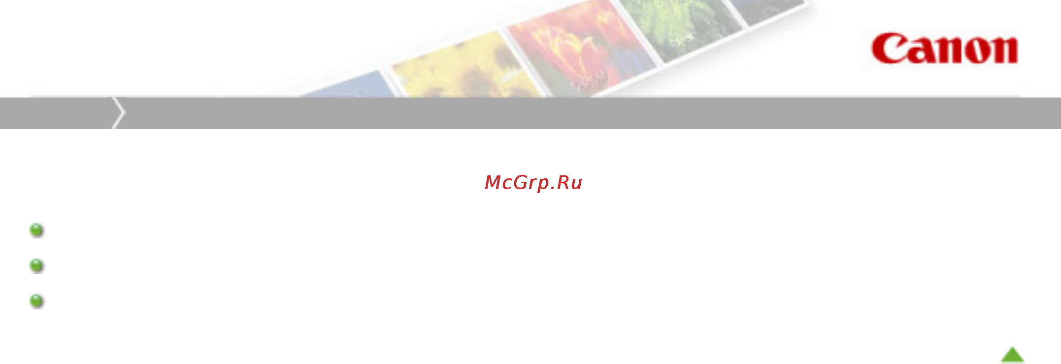 Canon PIXMA MG3140 [320/964] Копирование