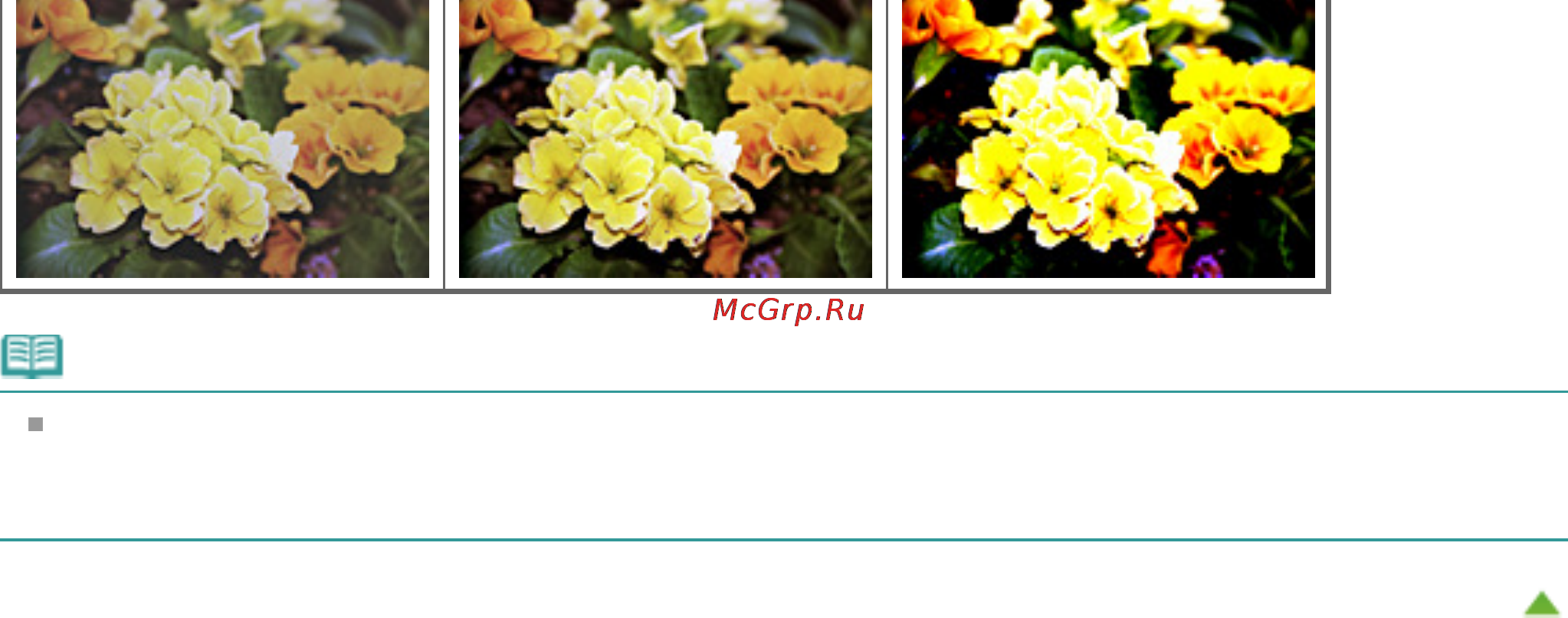 Canon PIXMA MG3140 [549/964] Примечание