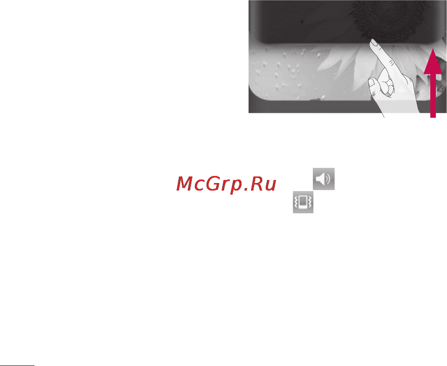 LG P698 Black [36/111] Главный экран