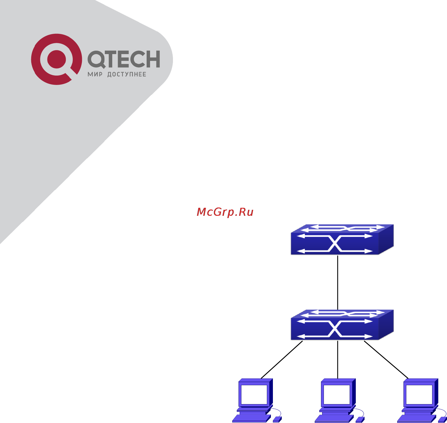 Q-Tech QSW-2800 [237/415] Dhcpv6 option37 38
